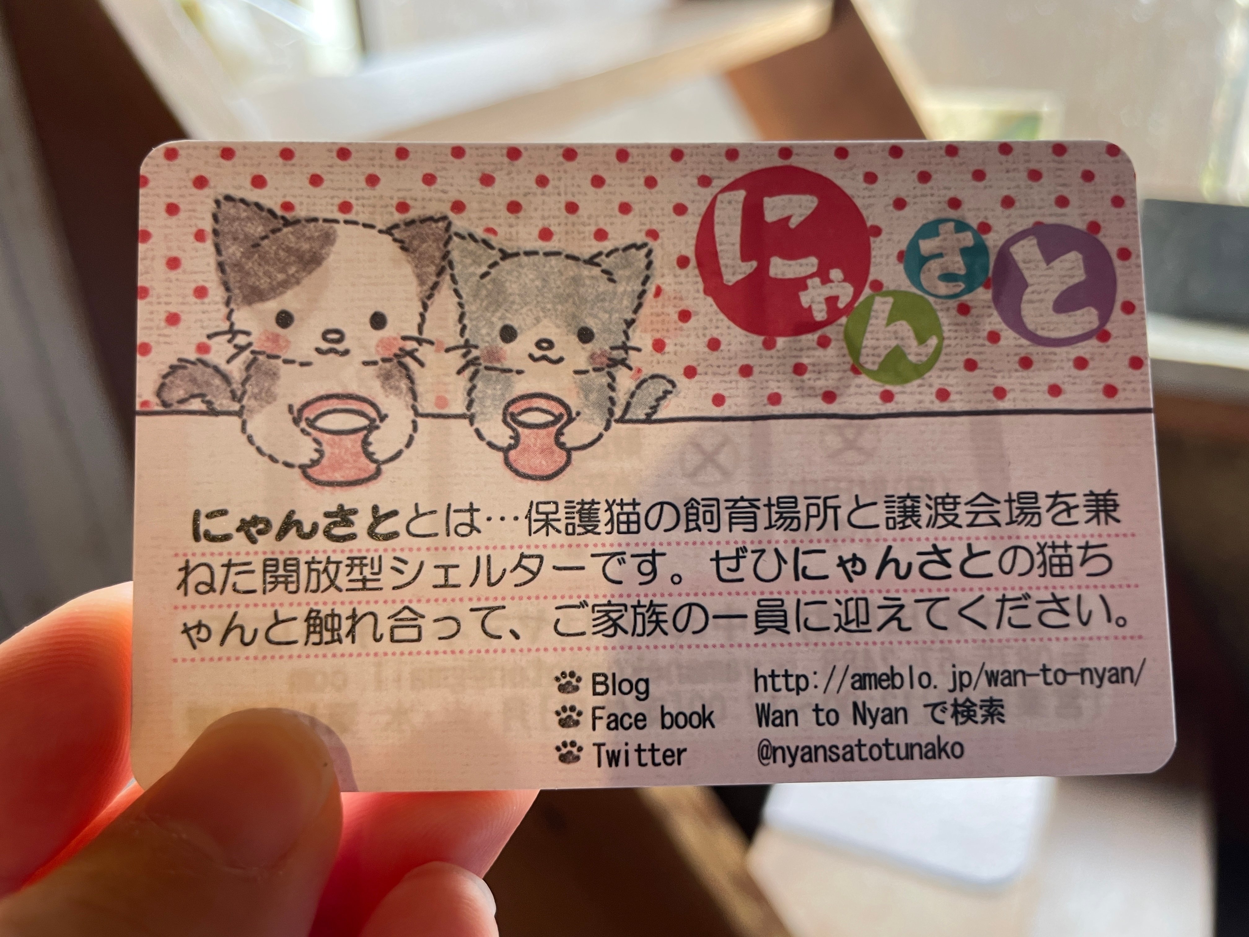 さとにゃんさま　専用ページ 1/27(土)~2/18(日)】「mofusand展」開催@金沢エムザ~人気