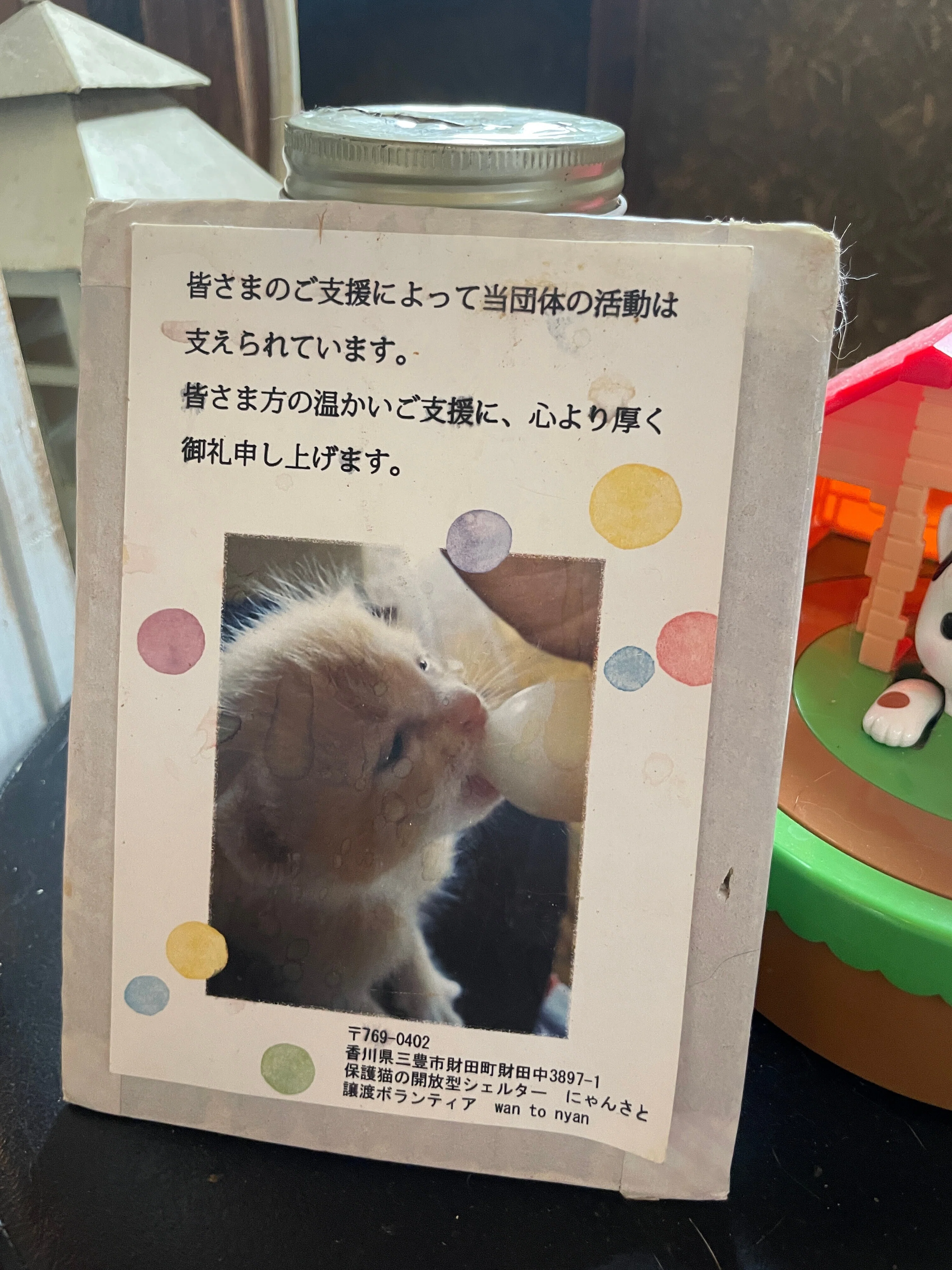 香川県三豊市「保護猫シェルターにゃんさと」リニューアル｜週刊みとよ