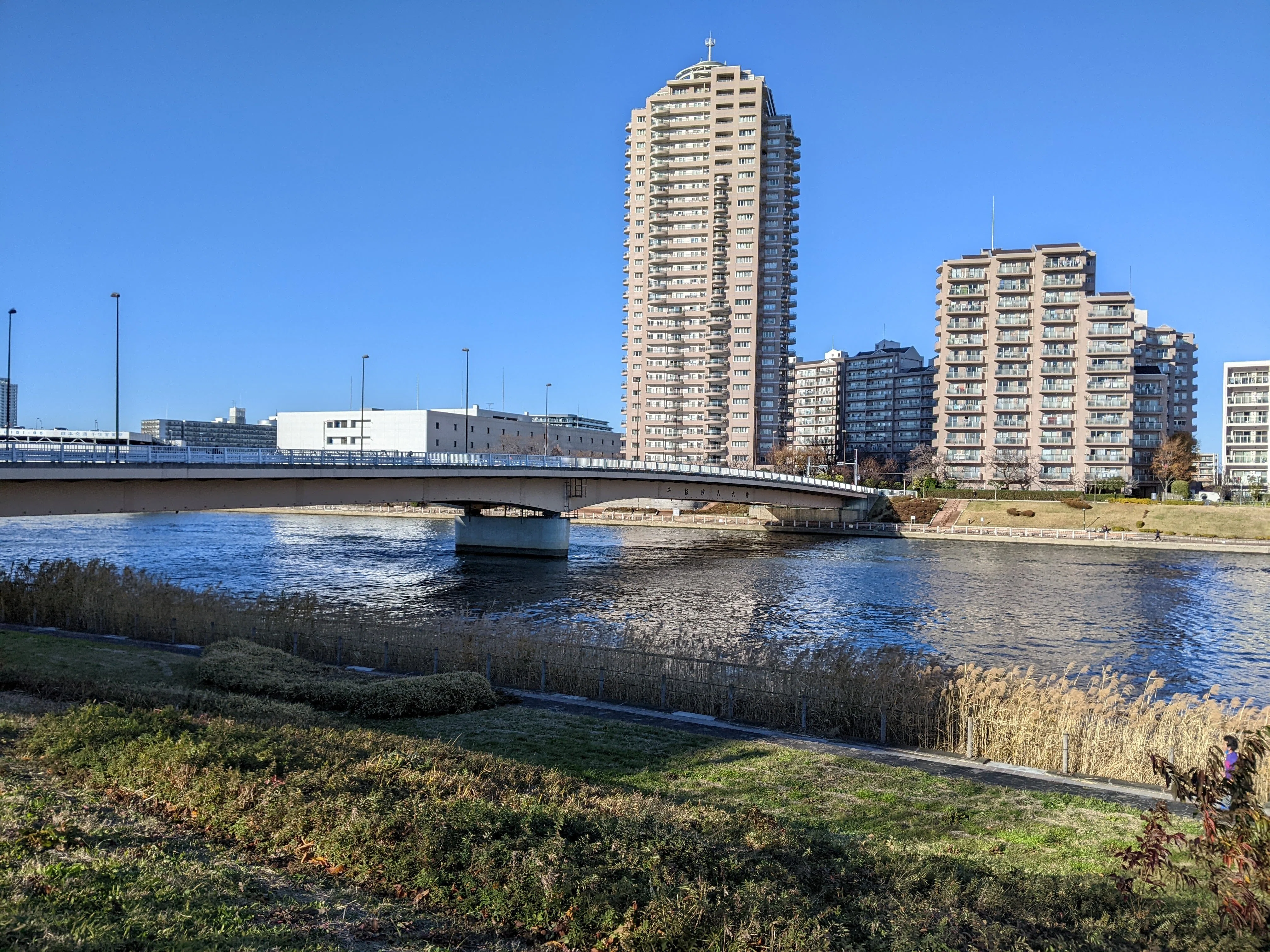千住 汐入 大橋