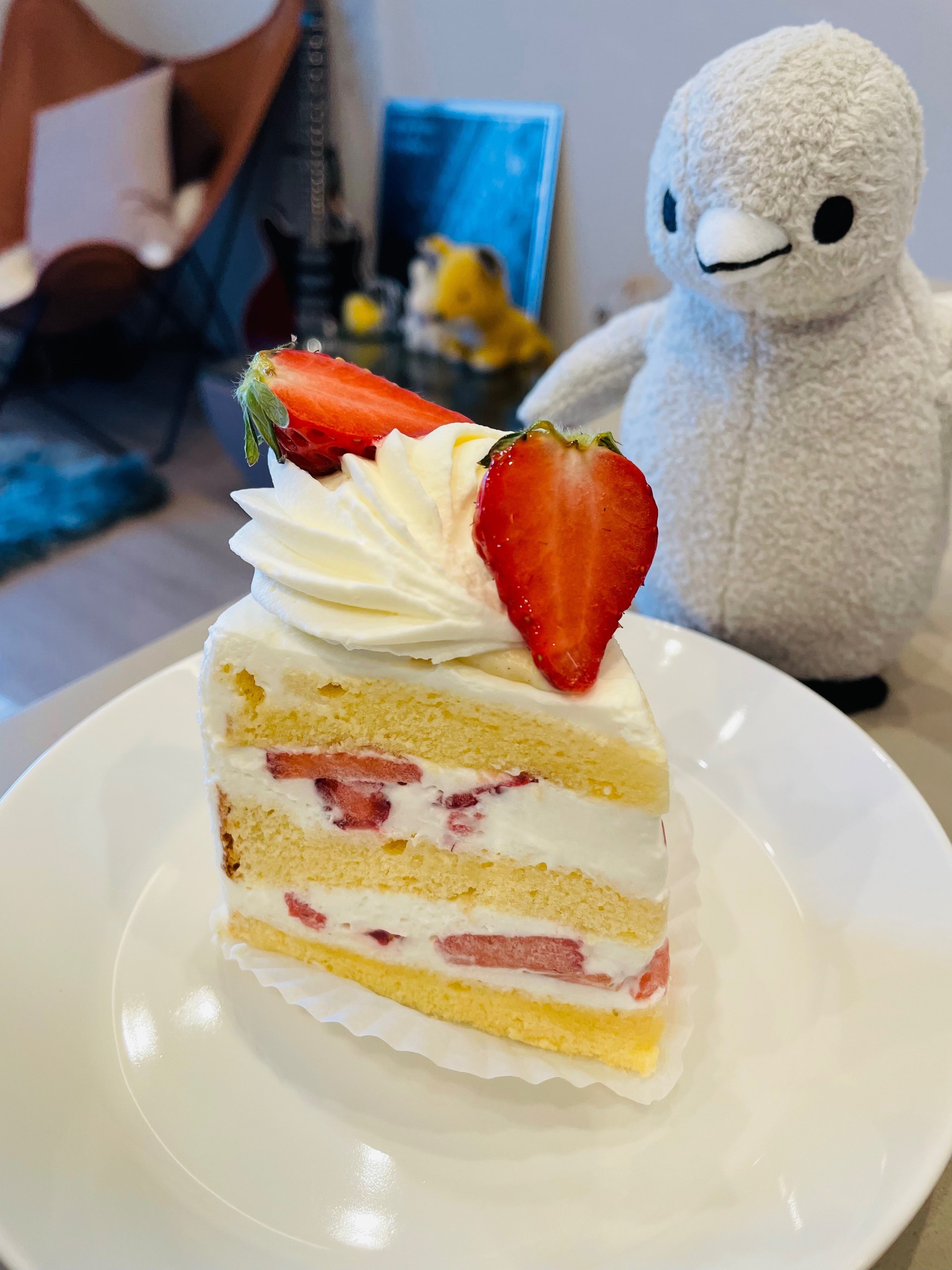 にしおゆき　ねこのチェリーケーキ 8/13(水)はお休みです 14日からは通常通り営業です よろしく