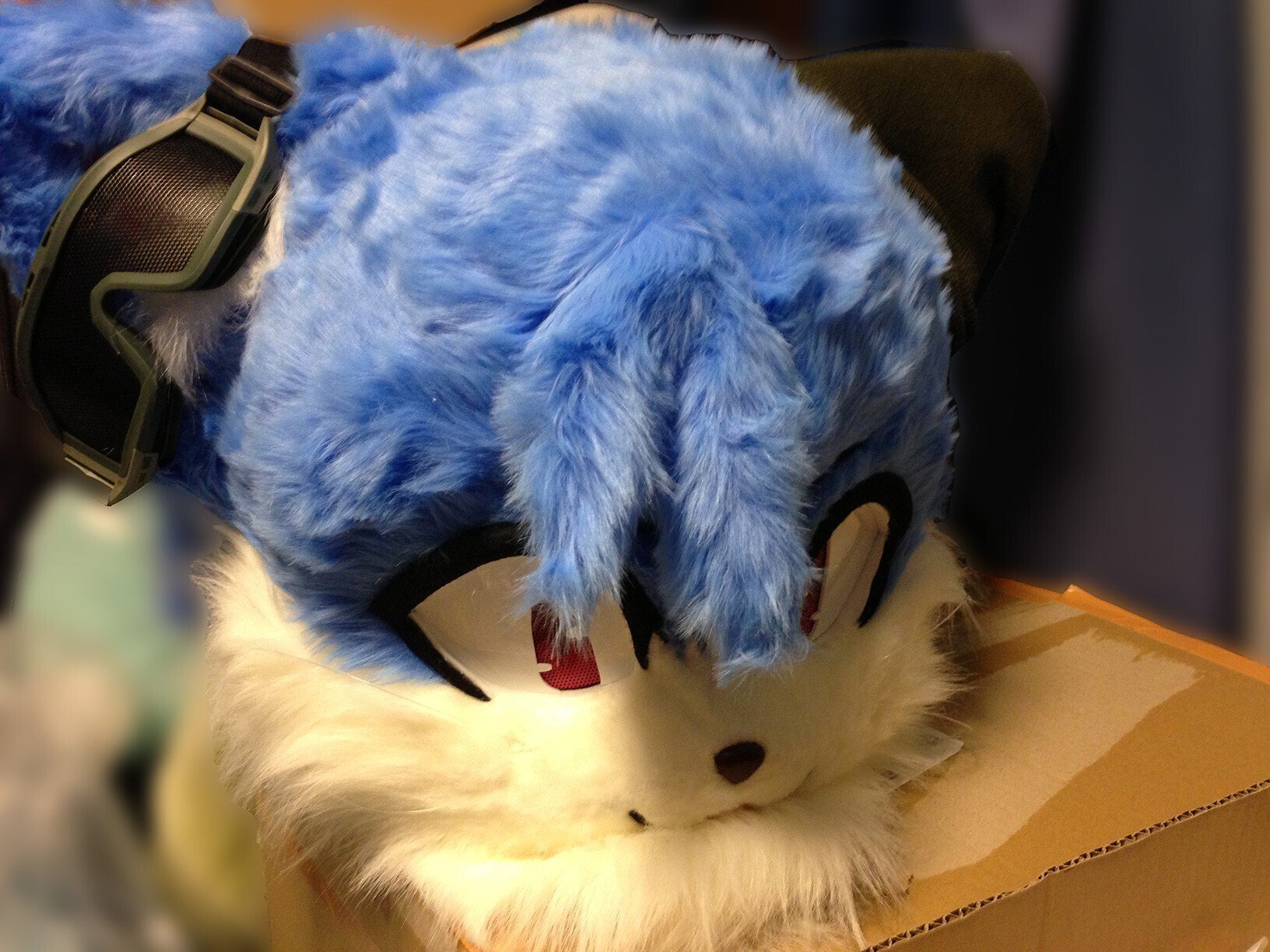 サンにゃ　ケモノ　着ぐるみ　水色 ホーム | KemonoMix