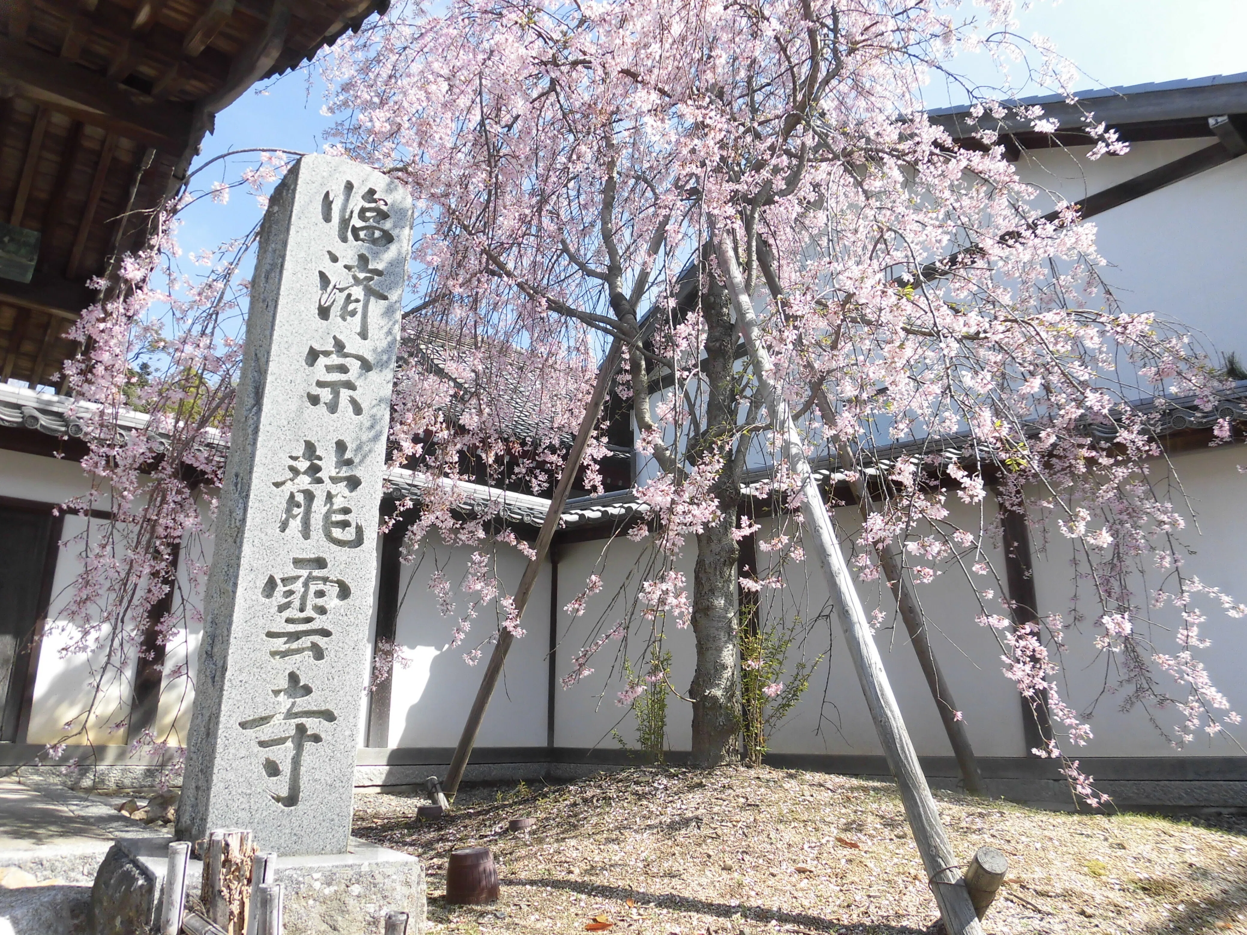 真形浜松 江戸時代から十代続 【公式通販】 真形浜松 江戸時代から十代続 【公式通販】