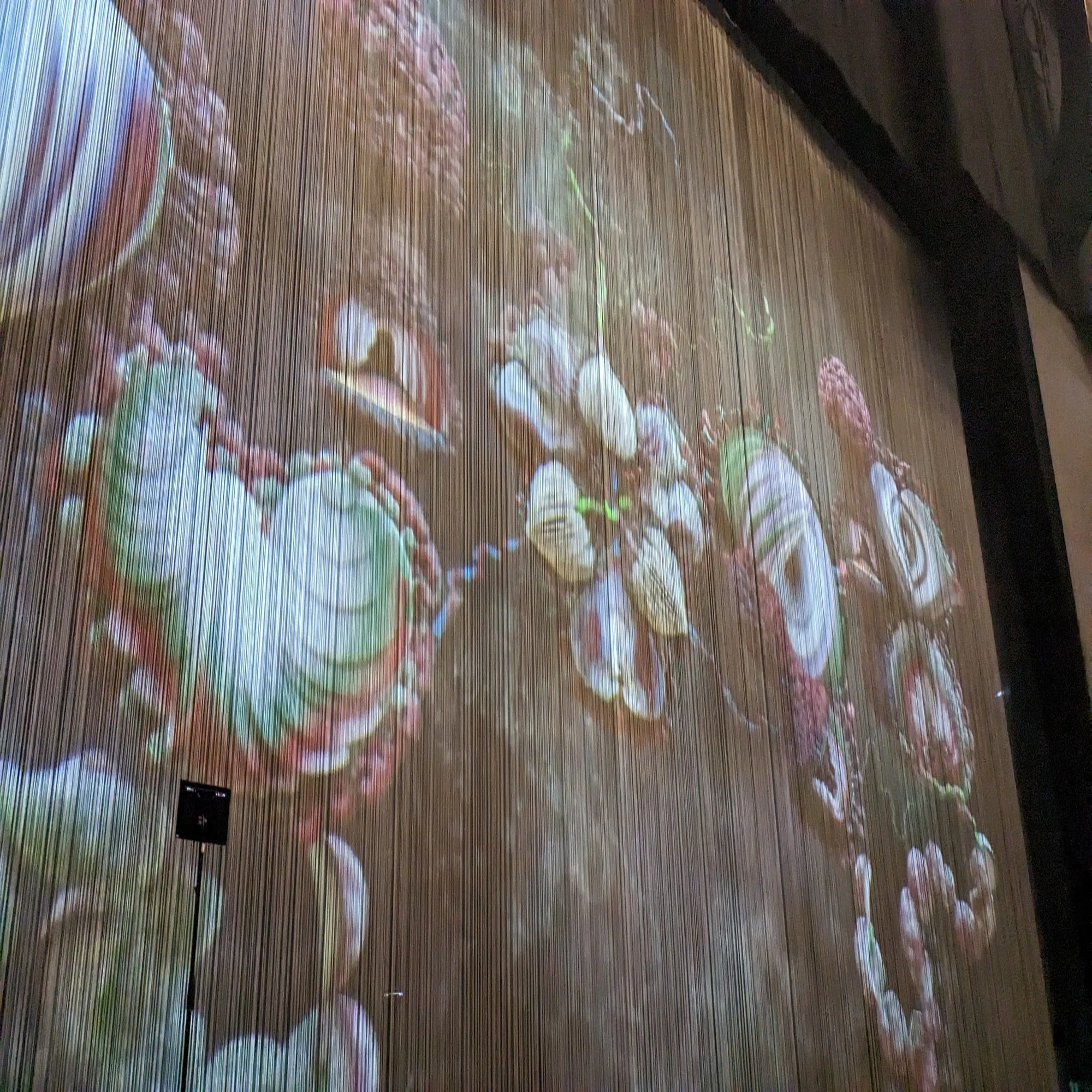 björk japan 2023 cornucopia @ 東京ガーデンシアター｜そらかな 