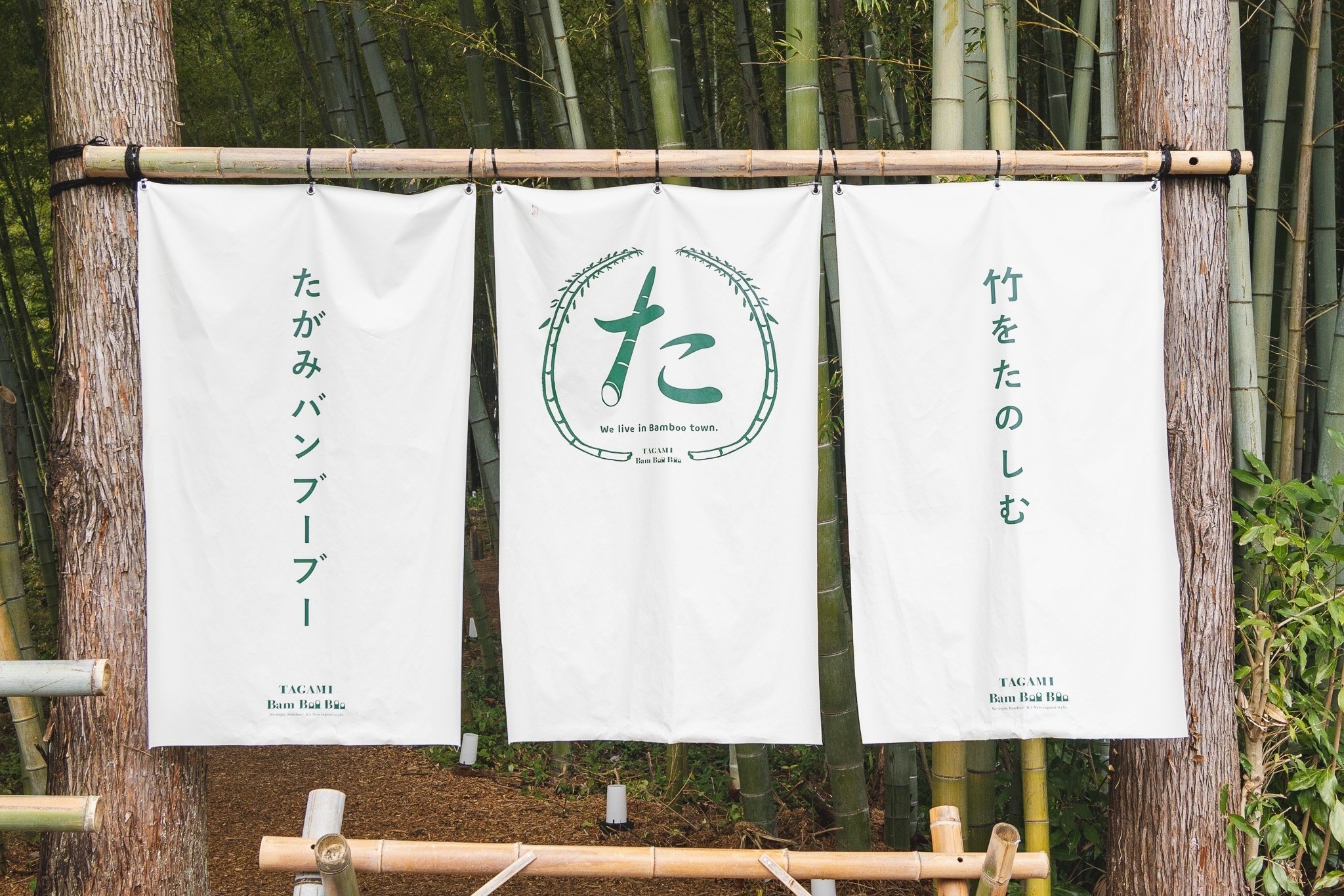 放置竹林をアート作品にしたら1ヵ月で2万人以上のお客さんが来た｜新潟