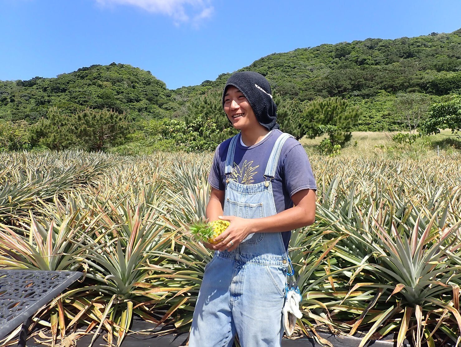 目指すのは引き算の農業。何も無駄にせず自然の力を引き出す、やえやま