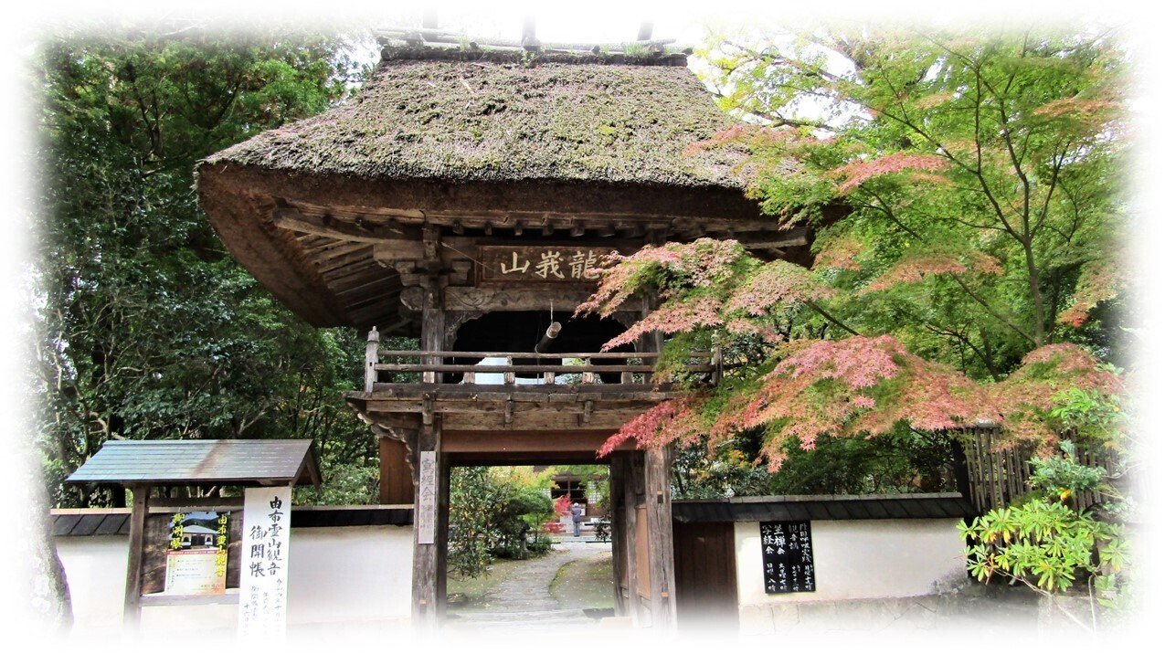 ④ 青龍 佛山寺 由布市湯布院 龍峩山 佛山寺 ｜wabi・sabi