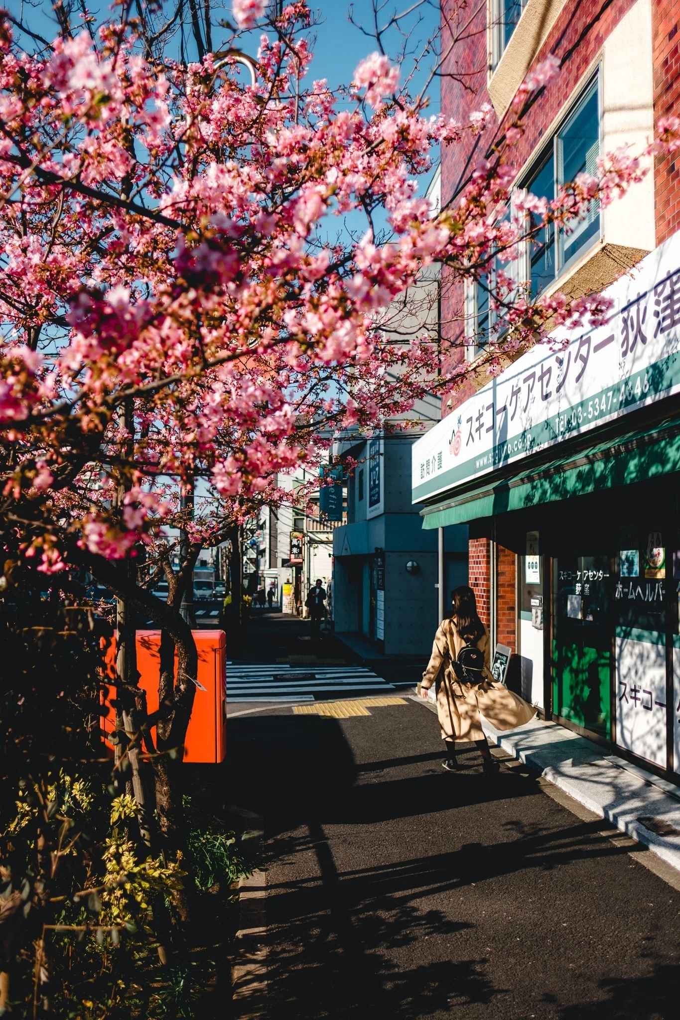 2023年の東京の桜【写真40枚】｜Nocchi(のっち)