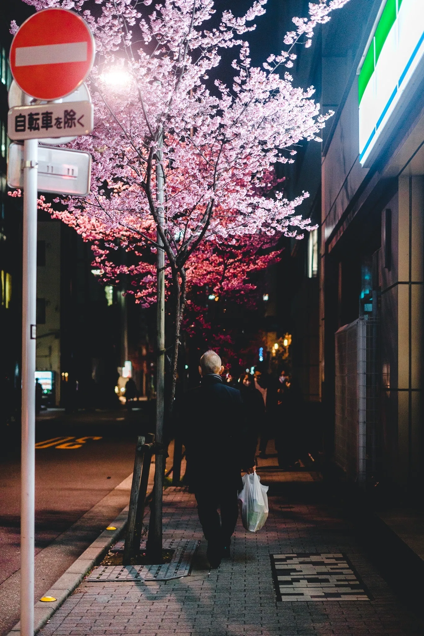 2023年の東京の桜【写真40枚】｜Nocchi(のっち)