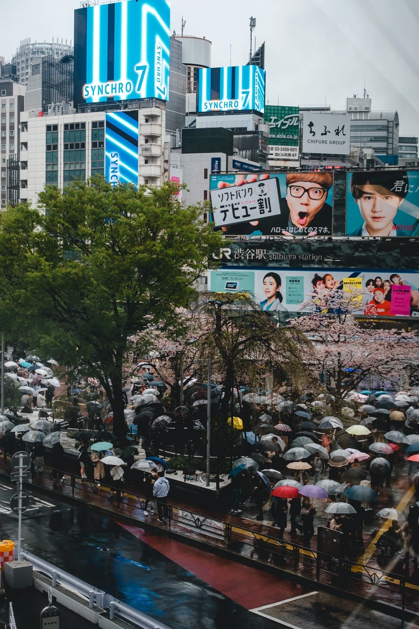 2023年の東京の桜【写真40枚】｜Nocchi(のっち)
