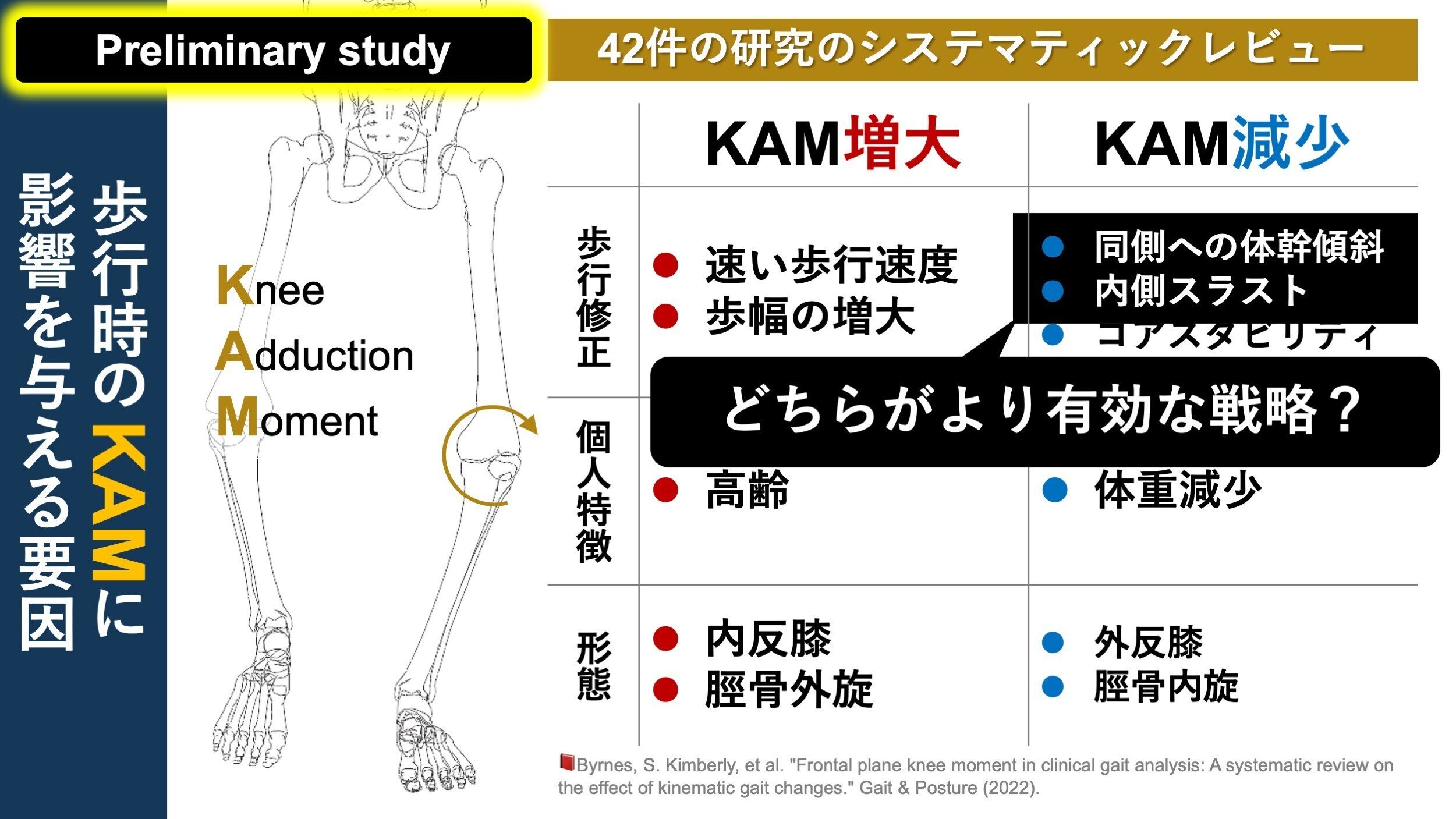 KAMを減少させる戦略。体幹傾斜 vs. 膝内側スラスト｜Super Human 