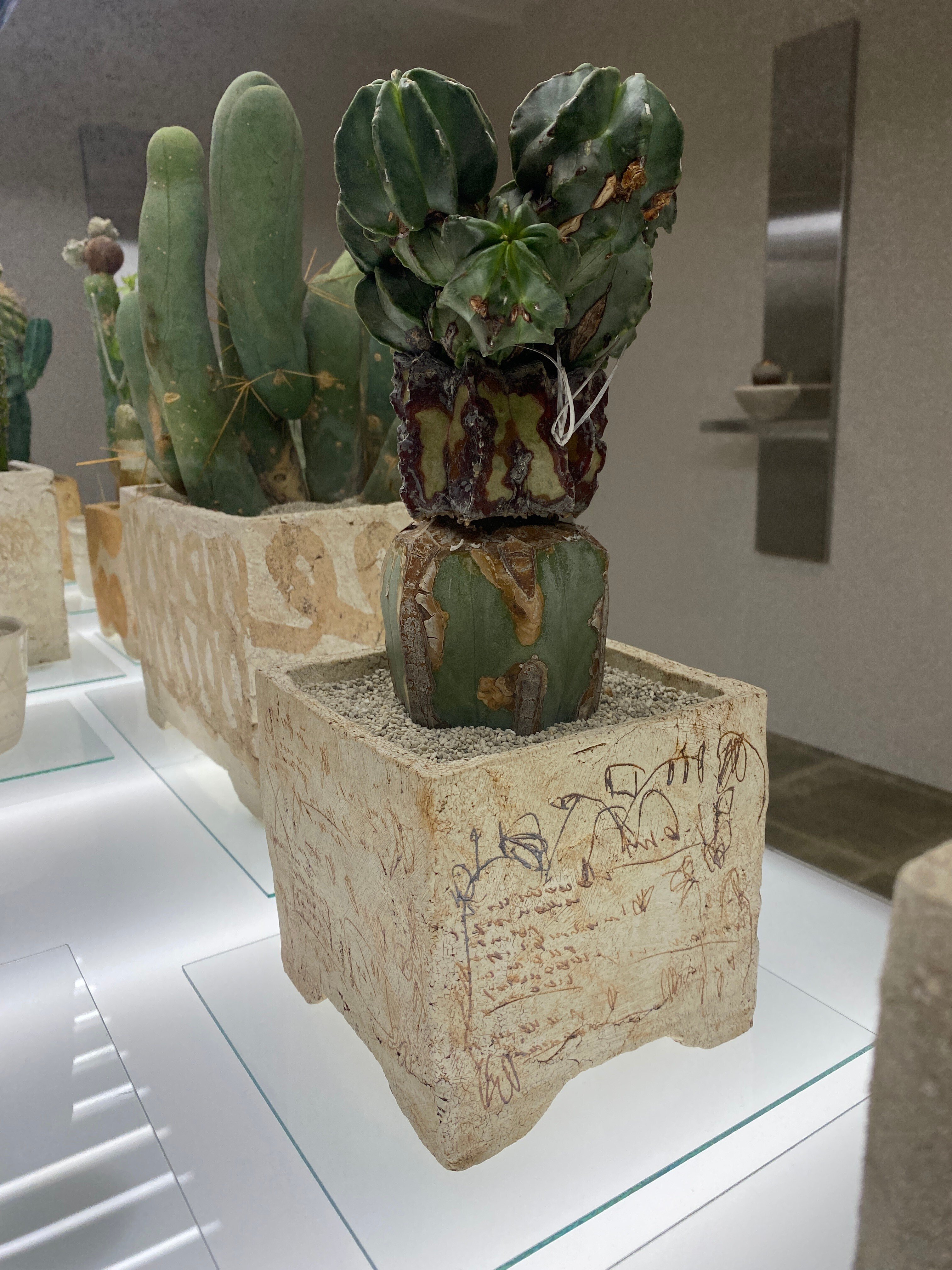 高揚感の余韻。 「叢03（Qusamura Zero Three）」 / 有楽町阪急