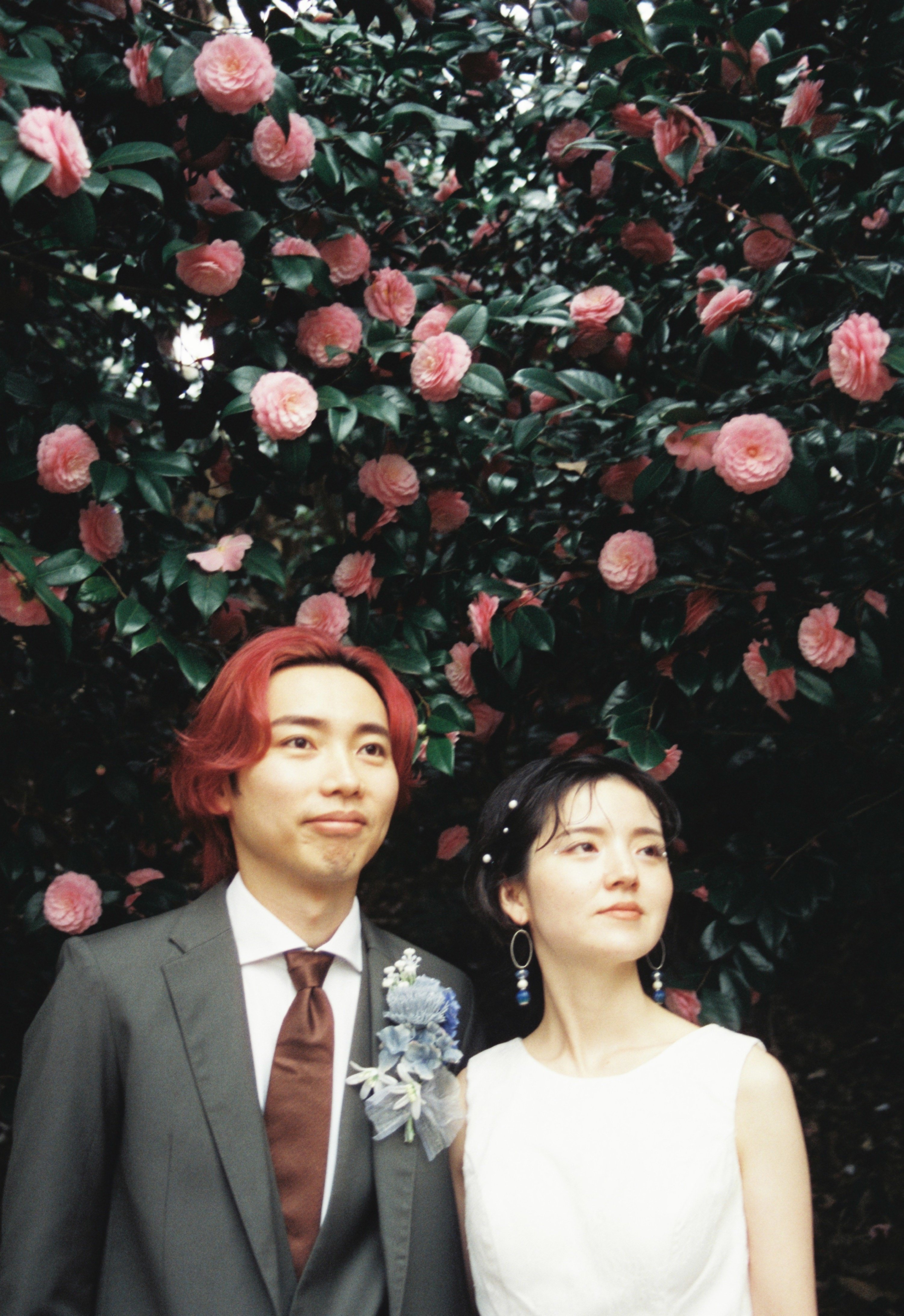 シネマフィルム作例大放出_cinestill400D｜ちーぼー
