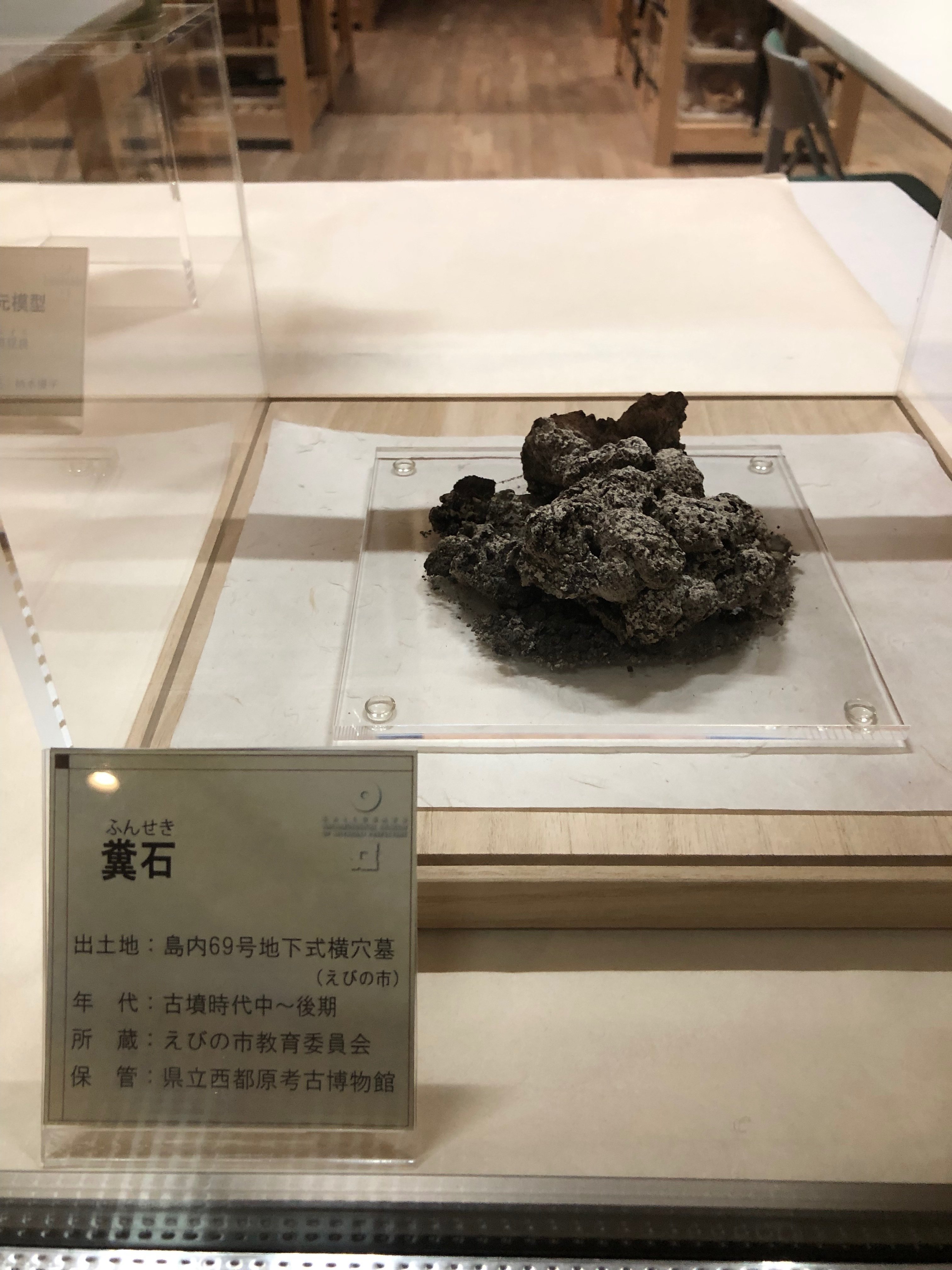 2023/04/08/土）古墳から発見された糞石｜るてる