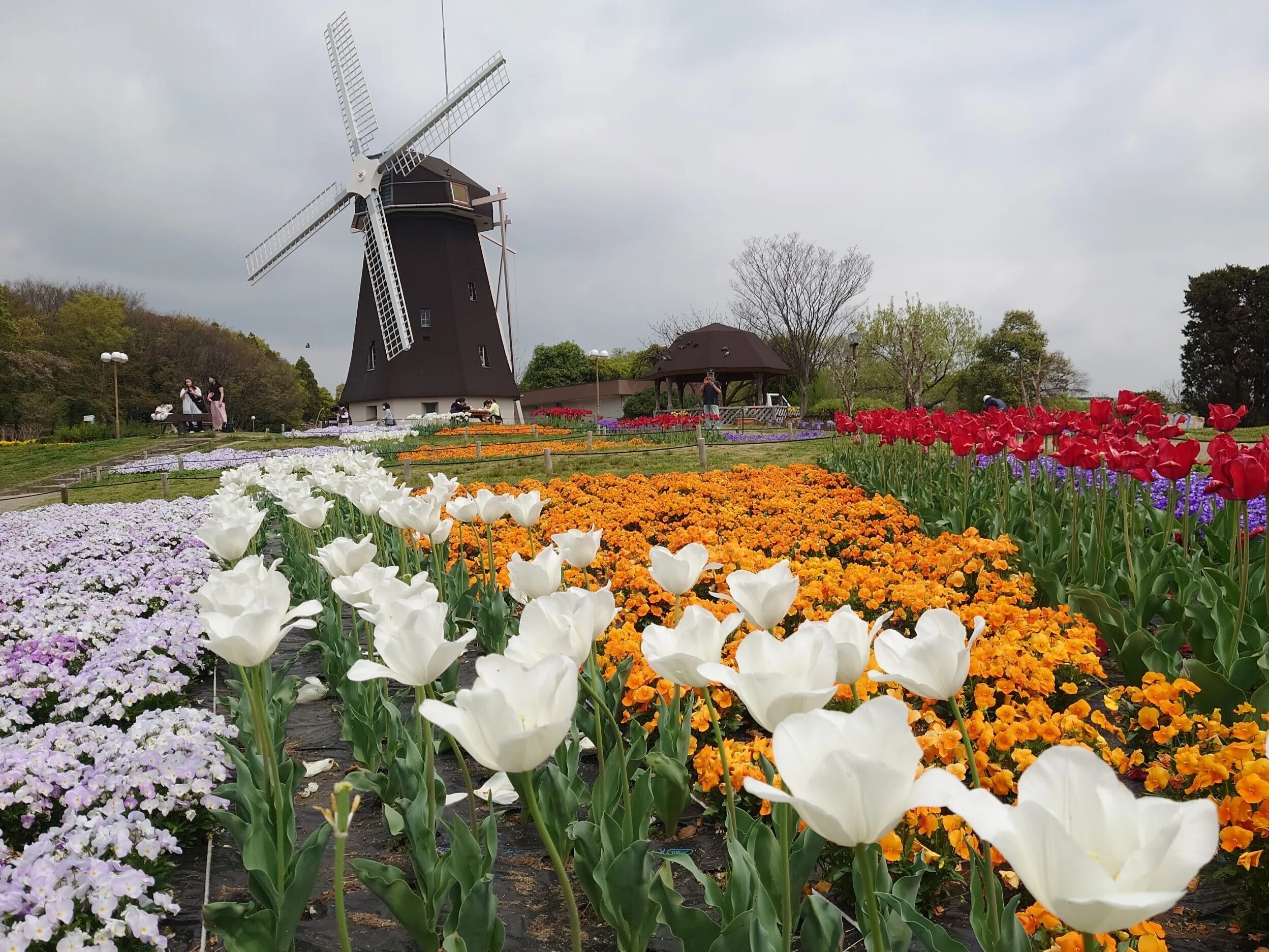 花博記念公園鶴見緑地2022年4月10日-20日【八重桜,春の花】｜レタス