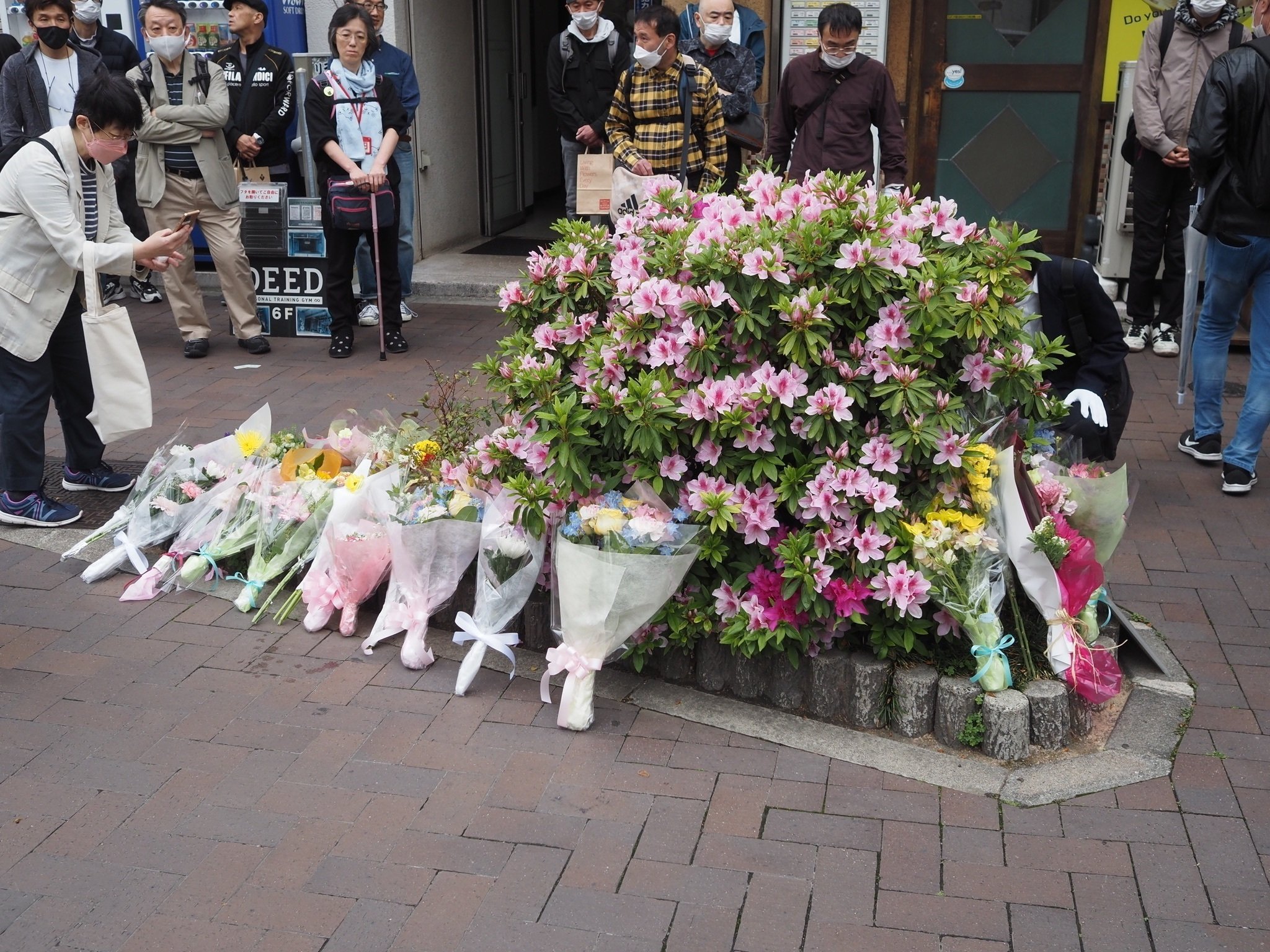 あれから37年、岡田有希子さんを偲んで(佳桜忌)|mel_f あれから37年、岡田有希子さんを偲んで(佳桜忌)|mel_f