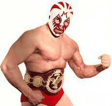 プロレス＆マーケティング第24戦 ミル・マスカラスの失敗。｜野呂 一郎