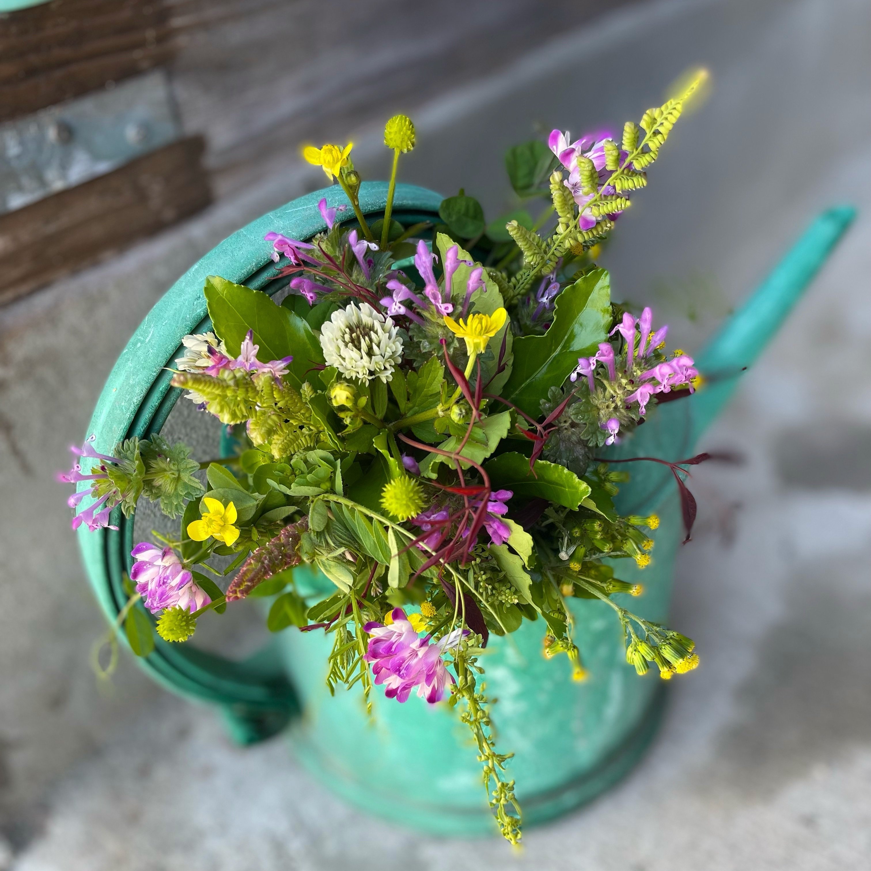 草花ブーケ｜暮らしの花研究家