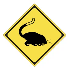 「動物注意」ケナガネズミ