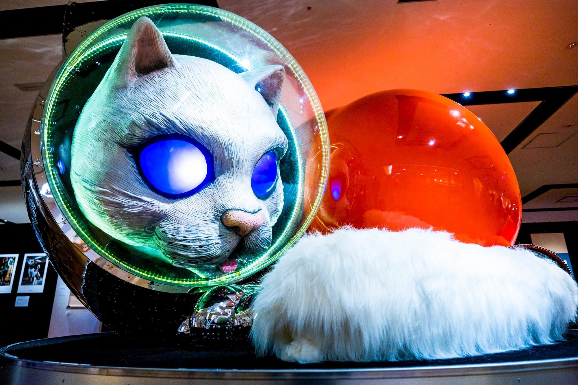 世界最速の彫刻”も”もふもふ”な彫刻も。個性豊かな「SHIP'S CAT