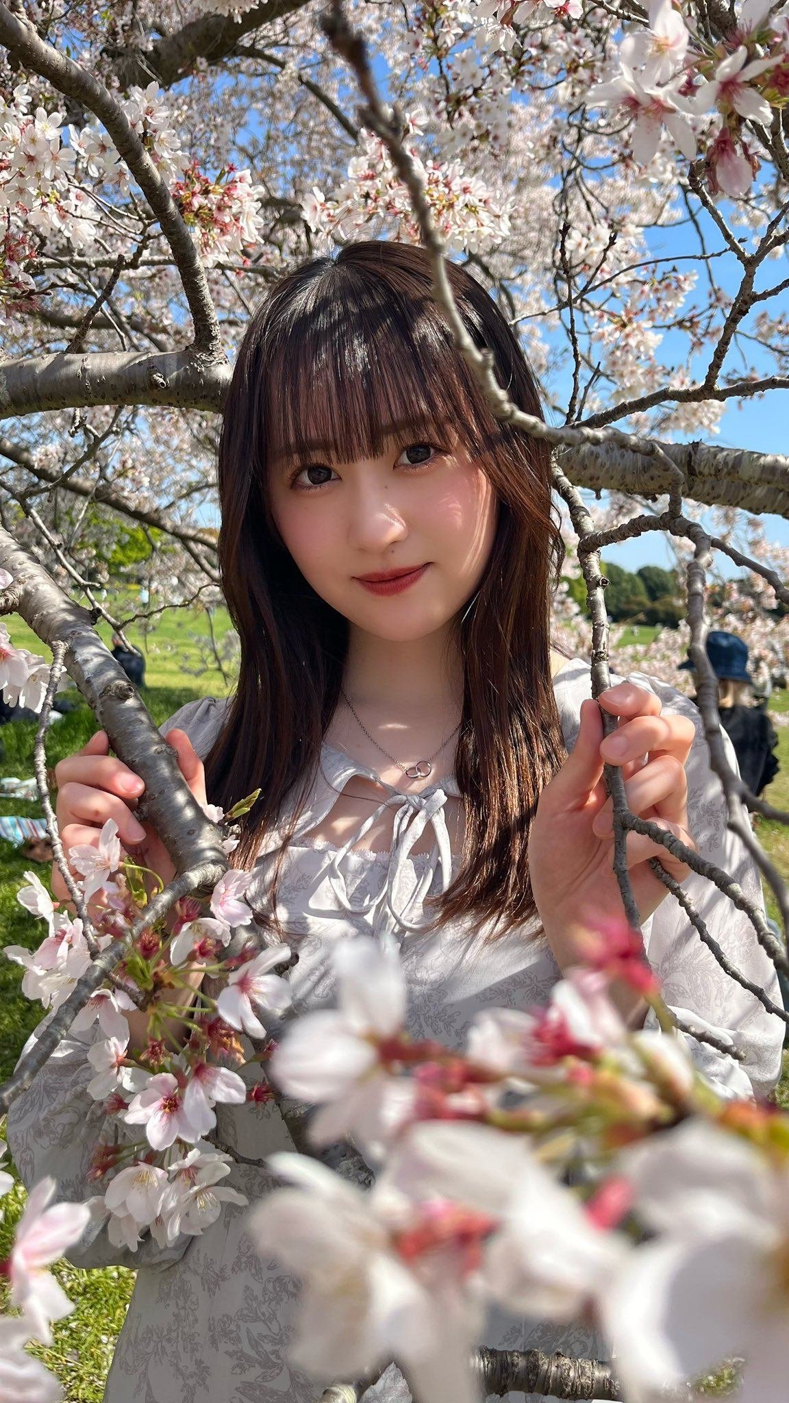 【かすみ草とステラ】一期生 人気のワインレッド衣装セット　比賀、小柴、吉川 かすみ草とステラ】2023年2月12日 小柴美羽の覚悟｜ZACKYさん