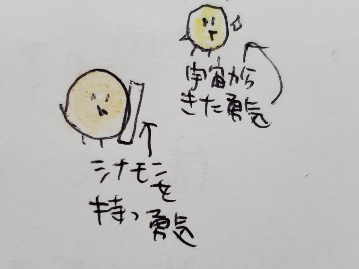 画像