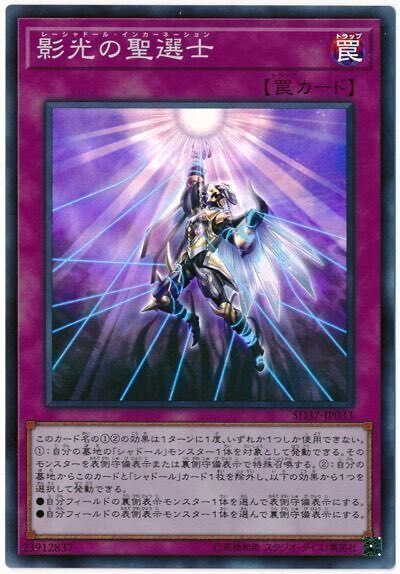 現環境におけるシャドールについて｜しゃどるな