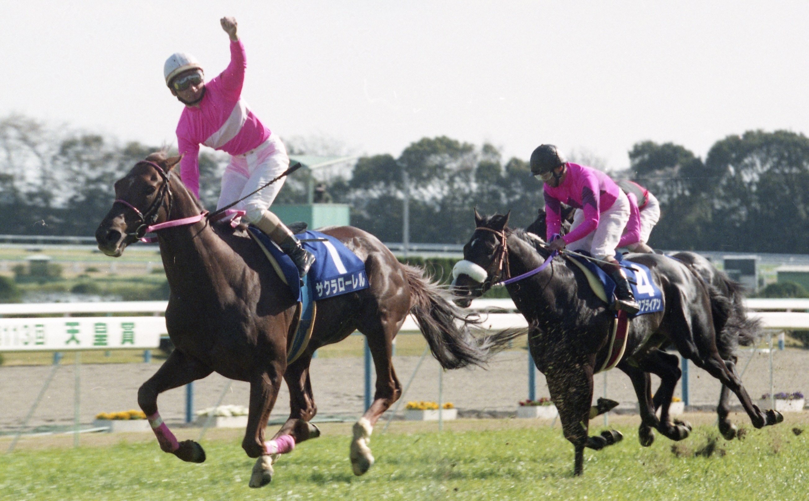 競馬 ゼッケン 天皇賞 サクラローレル サイン入り - その他