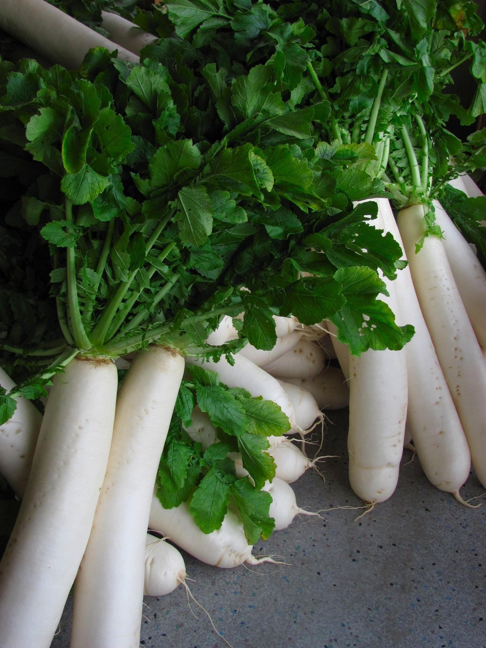 知ってるようで全然知らない「たくあん」の話。｜岸田いずみ／とまりの