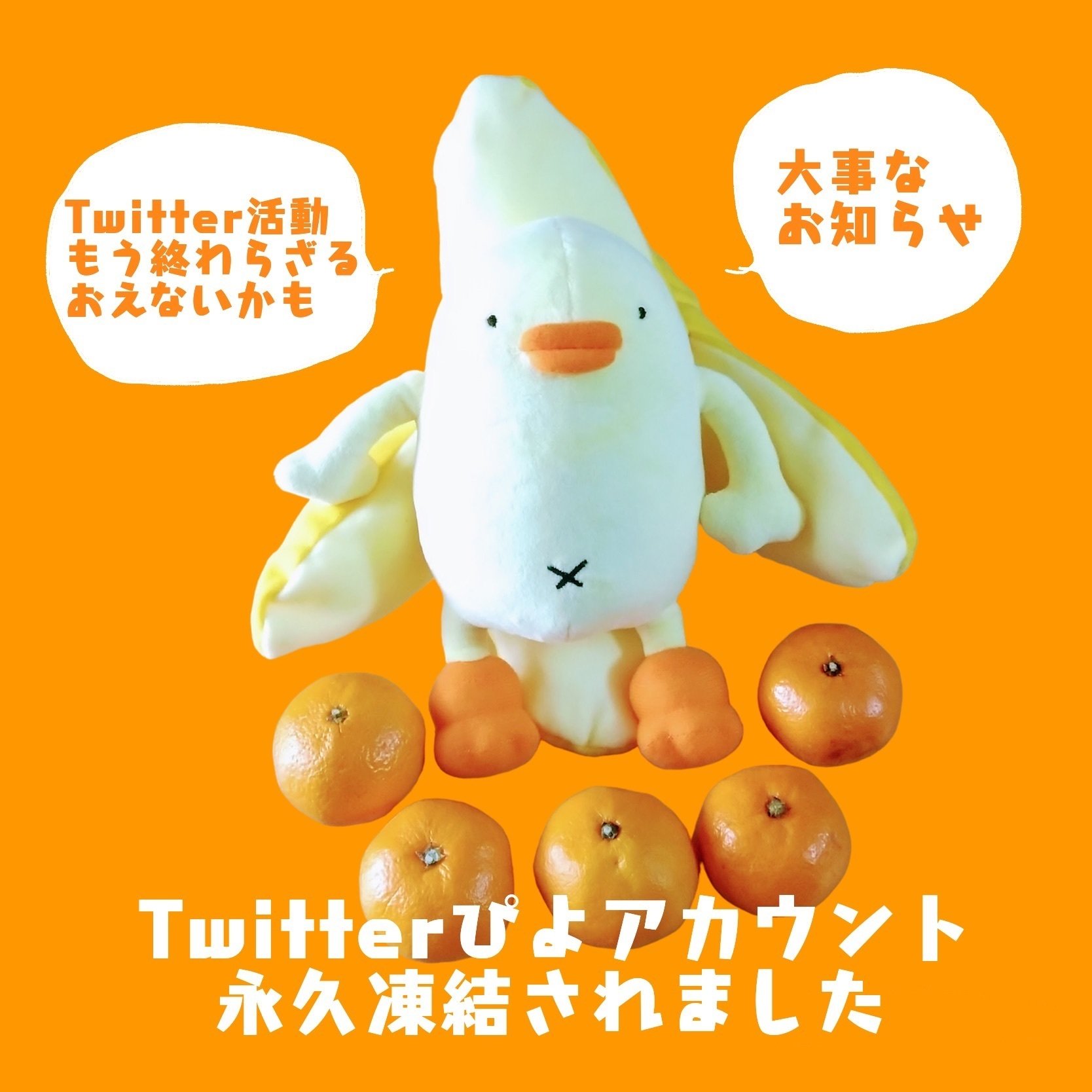 ひよこ人間ぴよのTwitterアカウントを凍結されてしまいましたので