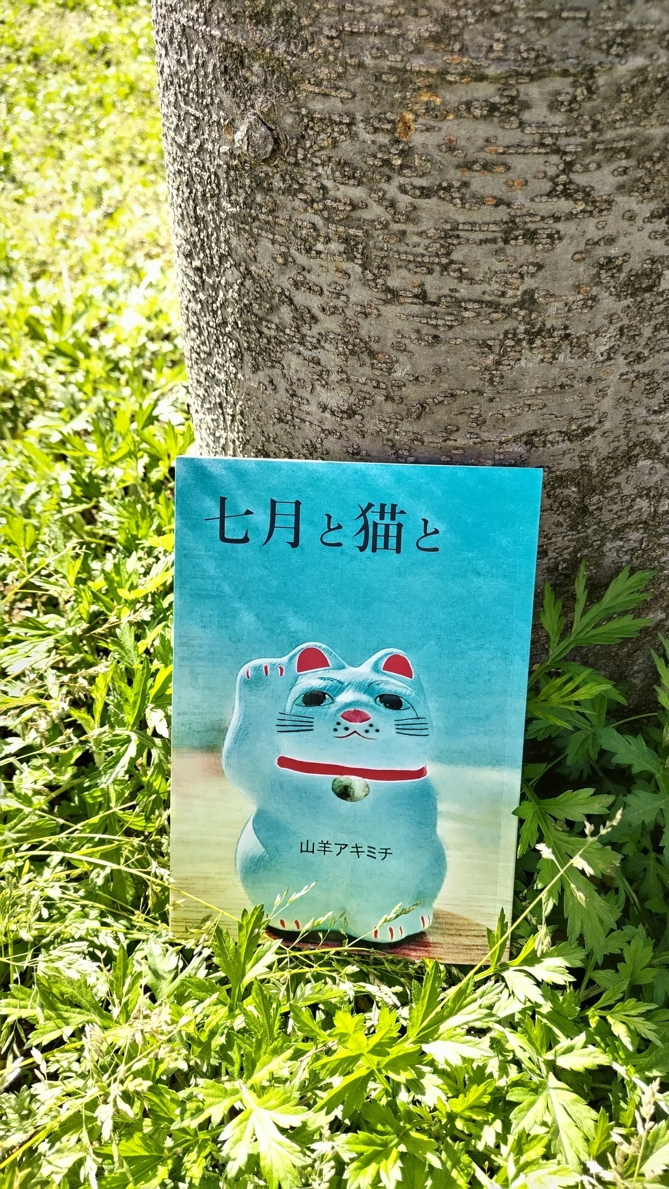 詩ZINE「七月と猫と」に託した思い｜山羊アキミチ