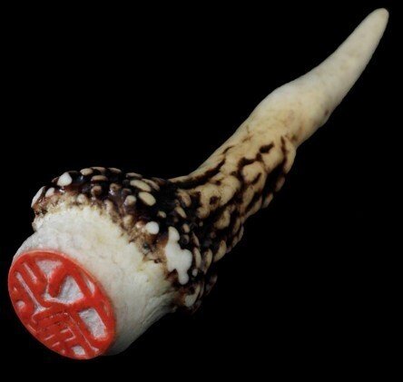 ハンドクラフトも猟師のたしなみ】シカの一本角で印鑑をつくる 北尾