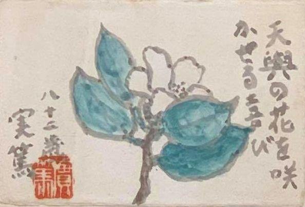 ピカソと武者小路実篤 実篤先生との備忘録｜綾 クレバーン 🎶 ウィーン