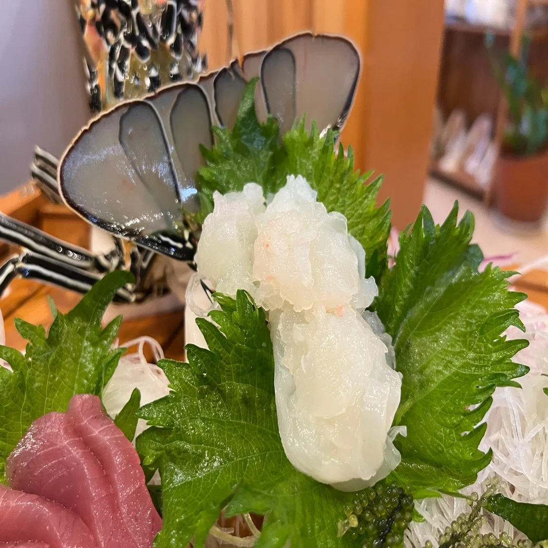 憧れの生きものを食べた話in宮古島｜竜洋昆虫自然観察公園