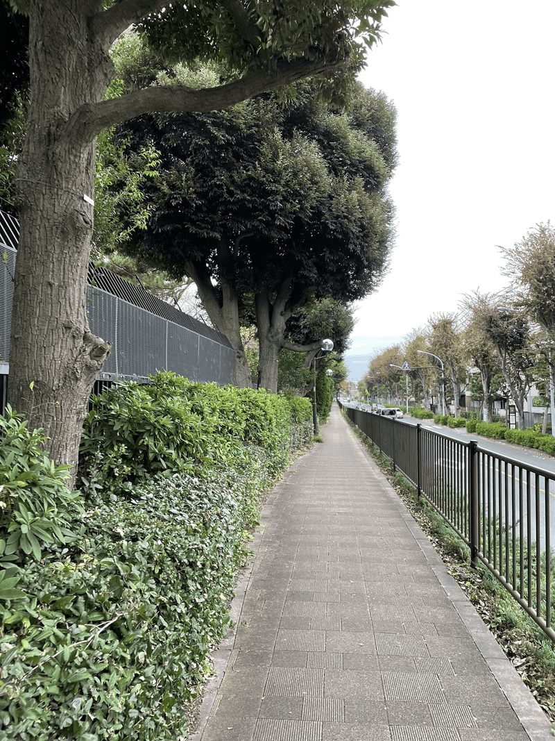 武蔵野市内の歩道の画像