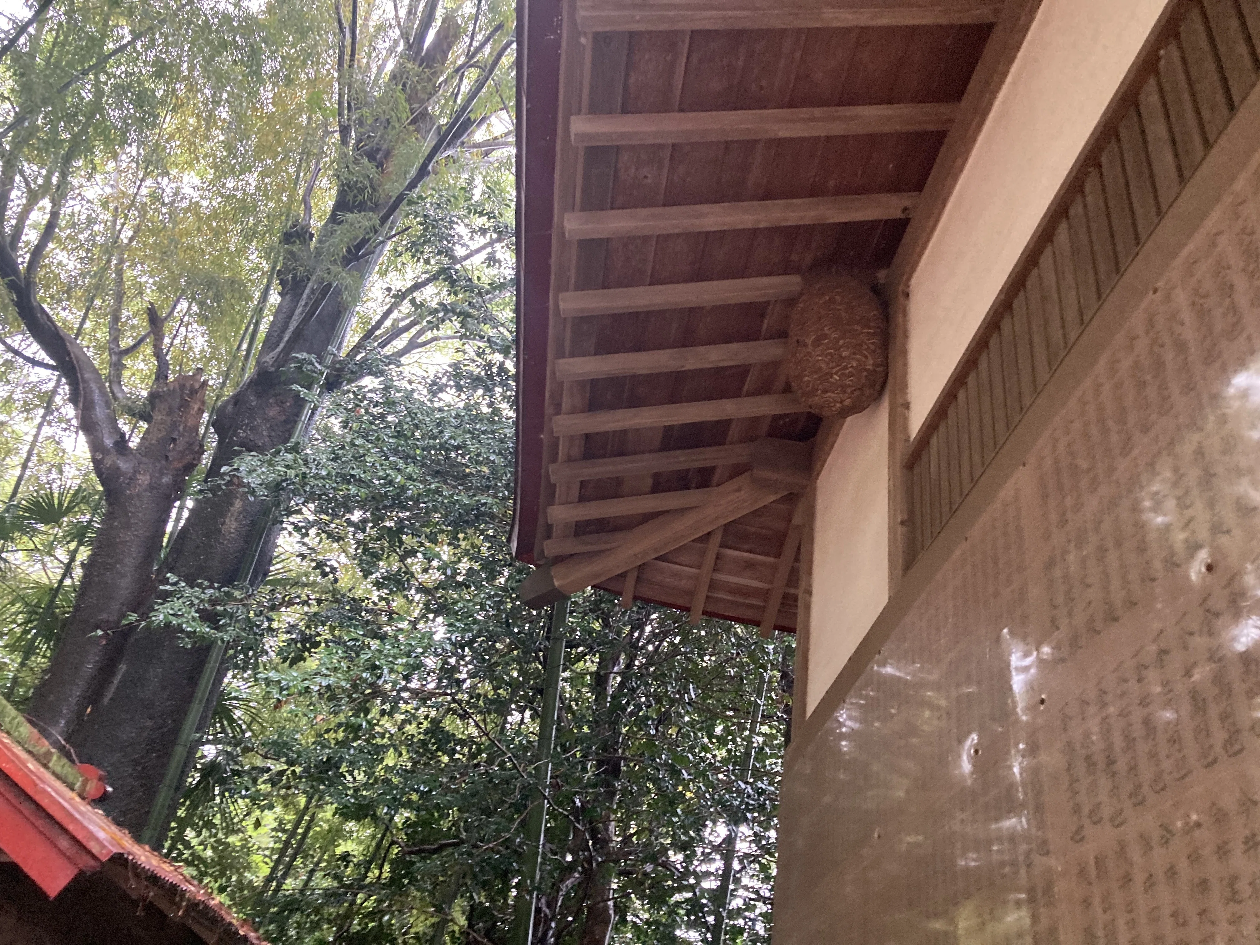 今日寄った【月】のワードから発見した場所、日月神社|yuuya_T_K|note