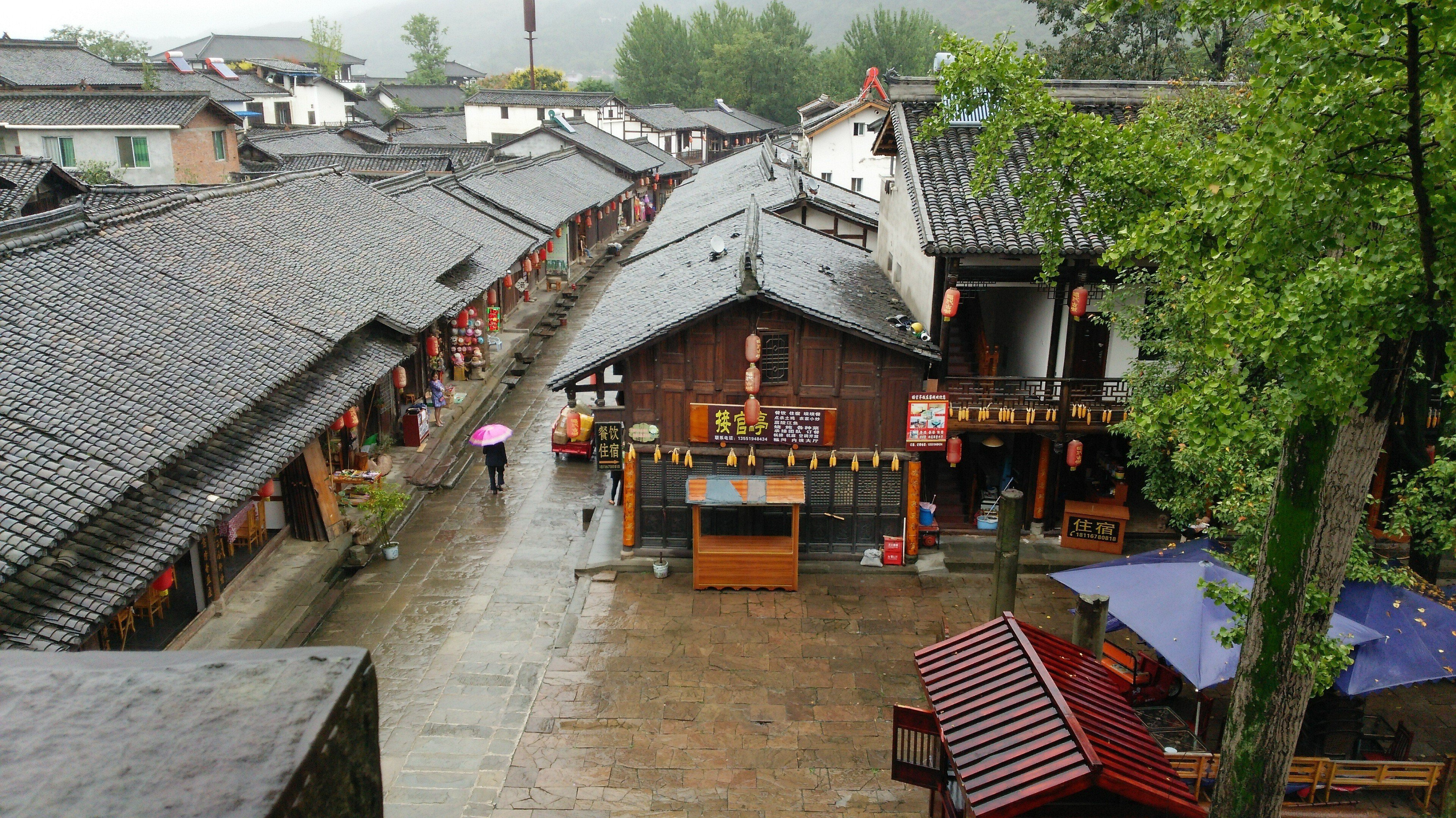 【中古】 中国の旅西安・宝鶏・漢中・延安/昭文社/中村愿 宝鶏個人旅行ガイド（2025年年）：おすすめの周辺アクティビティ