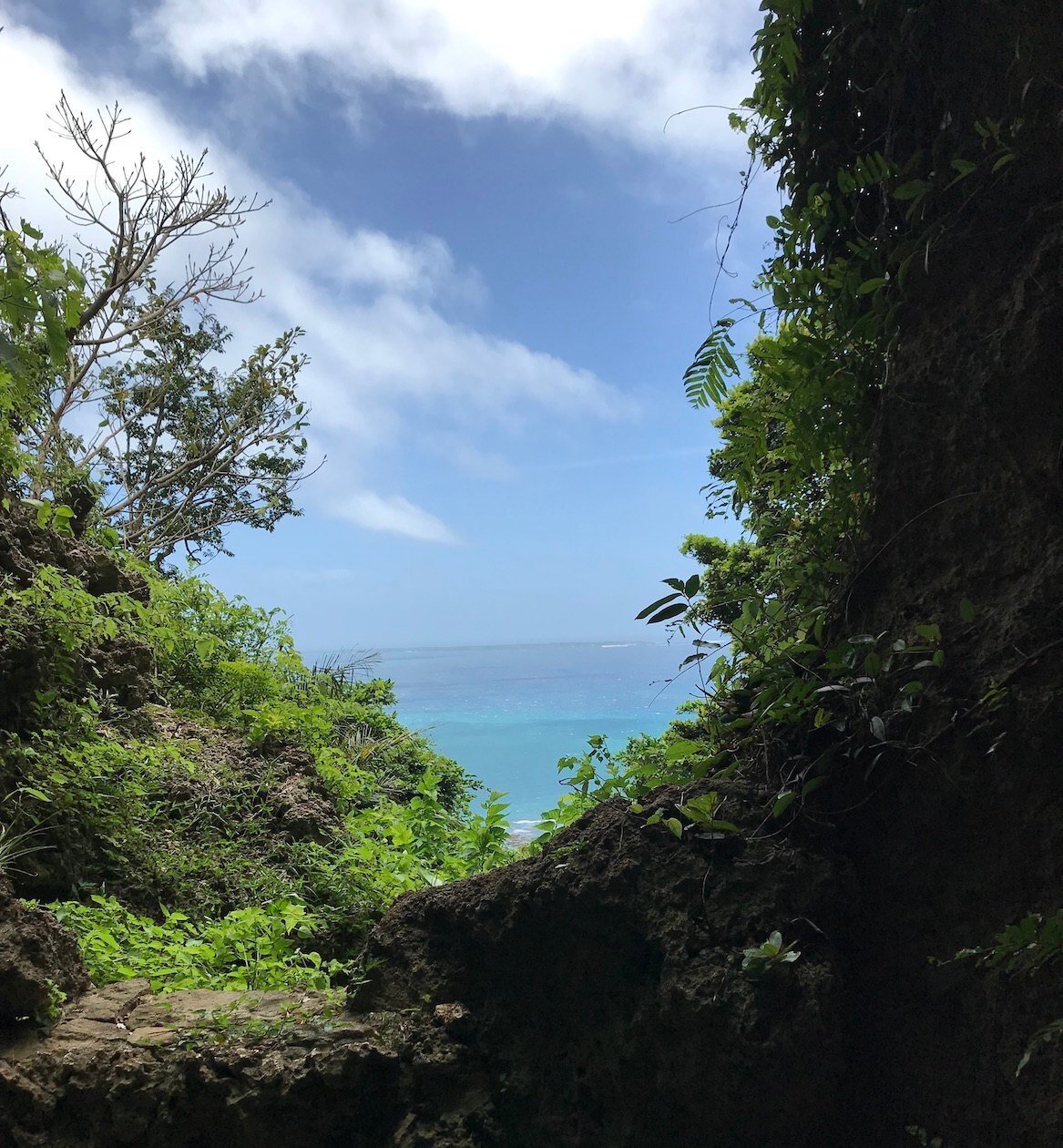 【大幅】沖縄久高島のシーサー【値下げ】 旅の記録／沖縄・久高島｜Kou TSUCHIYA（土谷 光）