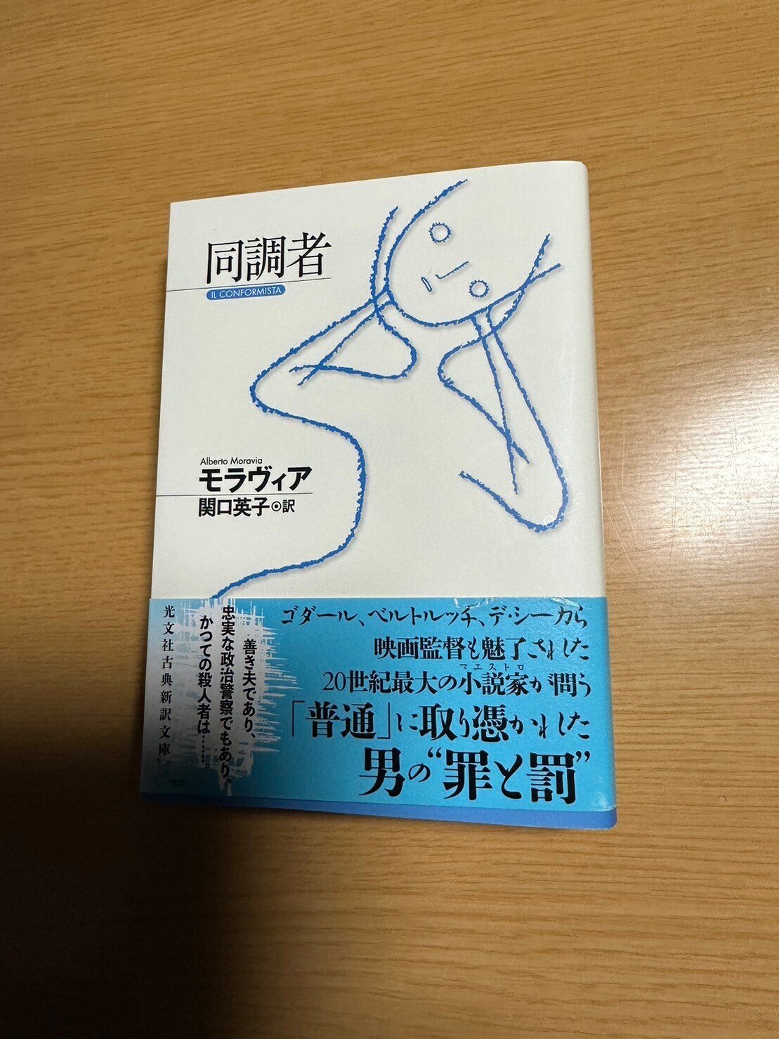 痛みの文化史 517PT95V5AL._AC_SY200_QL15_.jpg