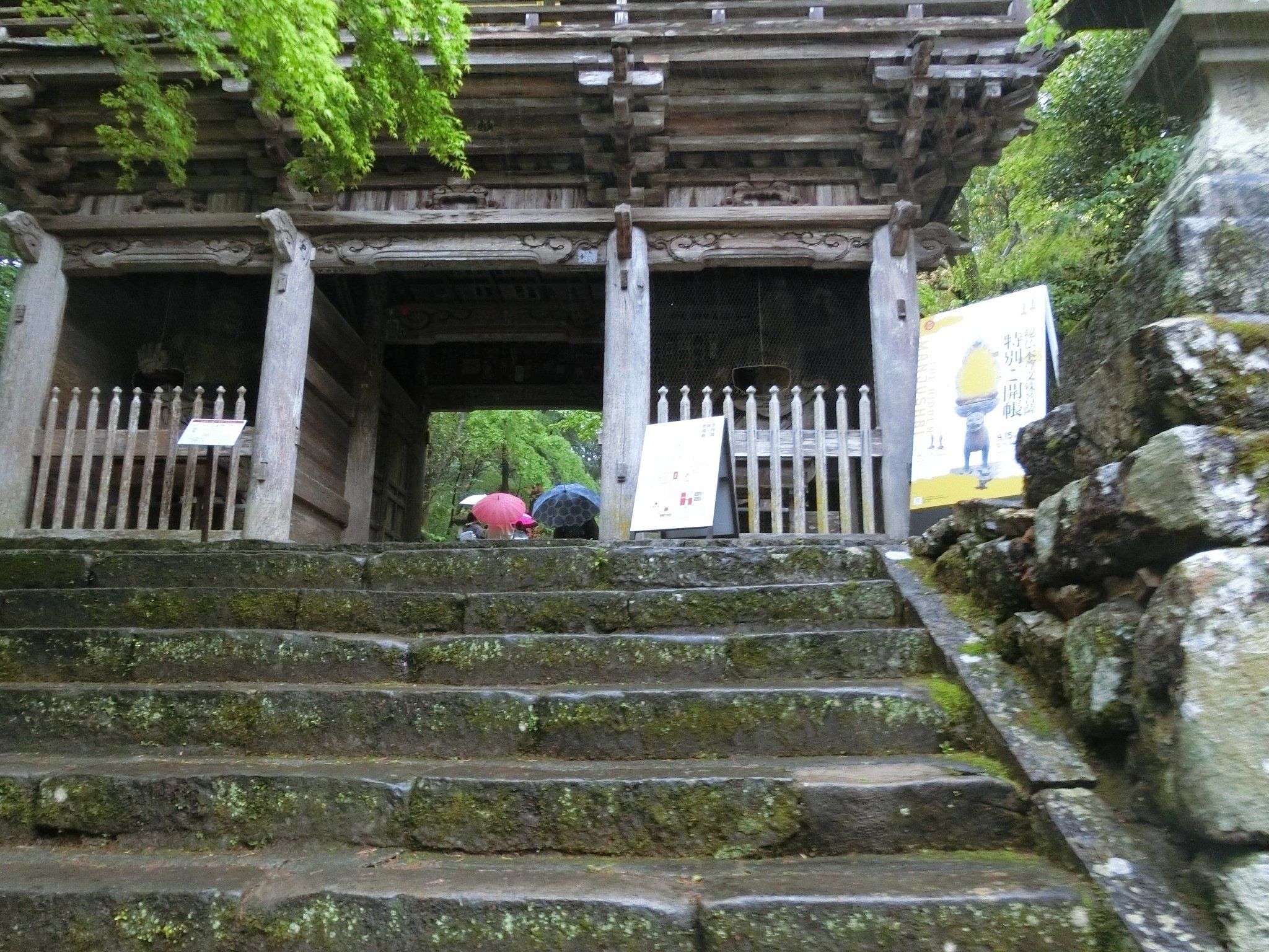 50年に一度の御開帳「竹林寺」次回2064年!第31番札所【高知