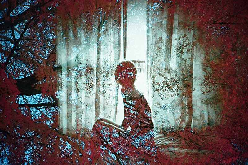 期限切れフィルム、その魅力と特徴にせまる｜山本穂高