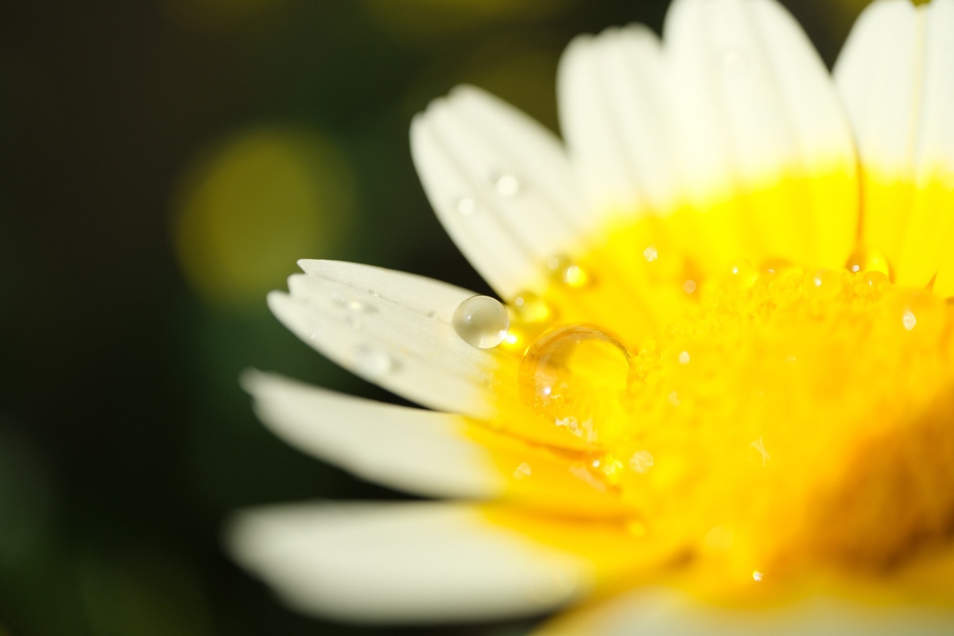 何も触らない撮ったままの写真が尊くなるAI時代