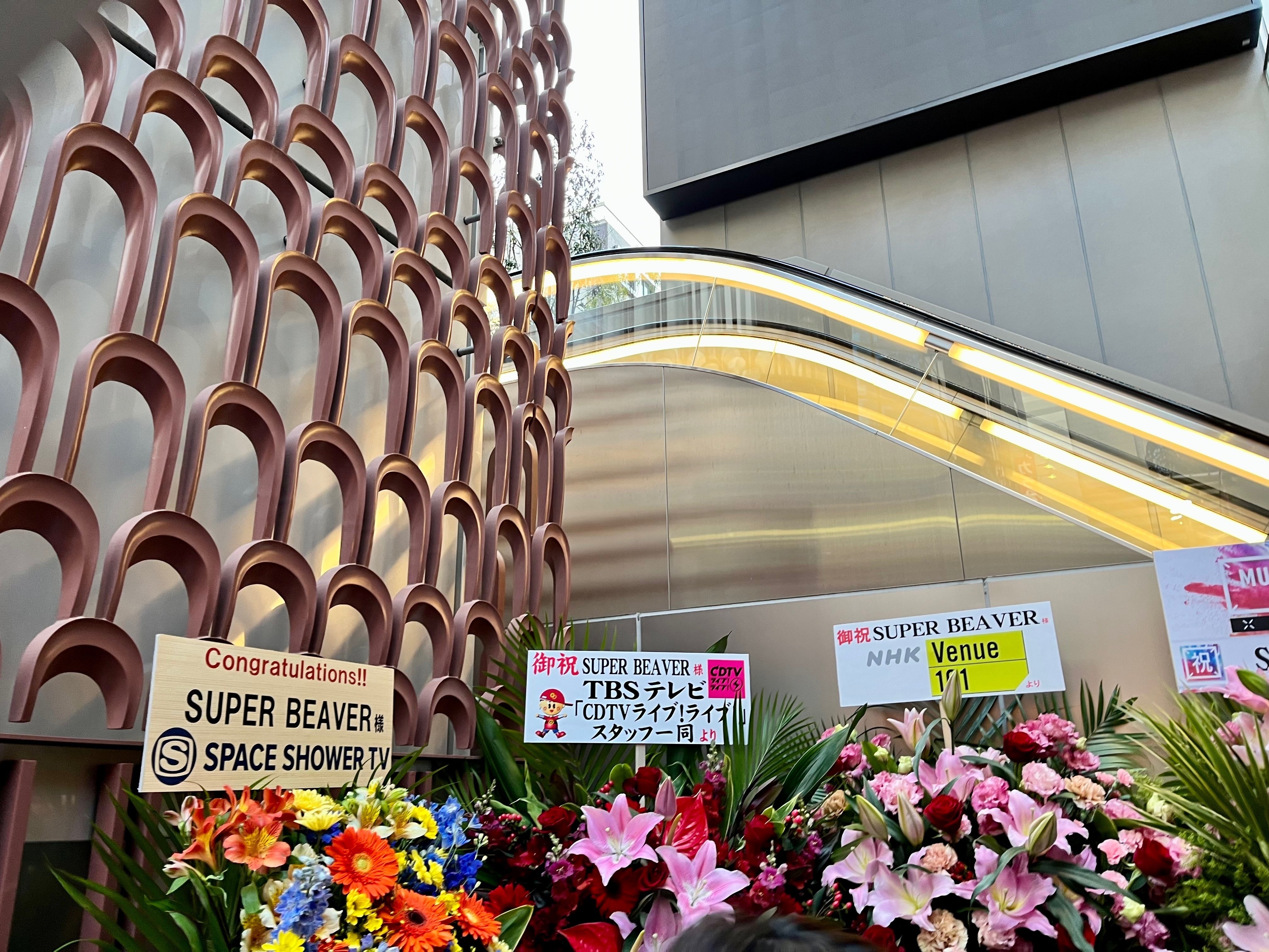 20230417_ZeppShinjuku杮落とし_SUPER BEAVER|naoko 20230417_ZeppShinjuku杮落とし_SUPER BEAVER|naoko