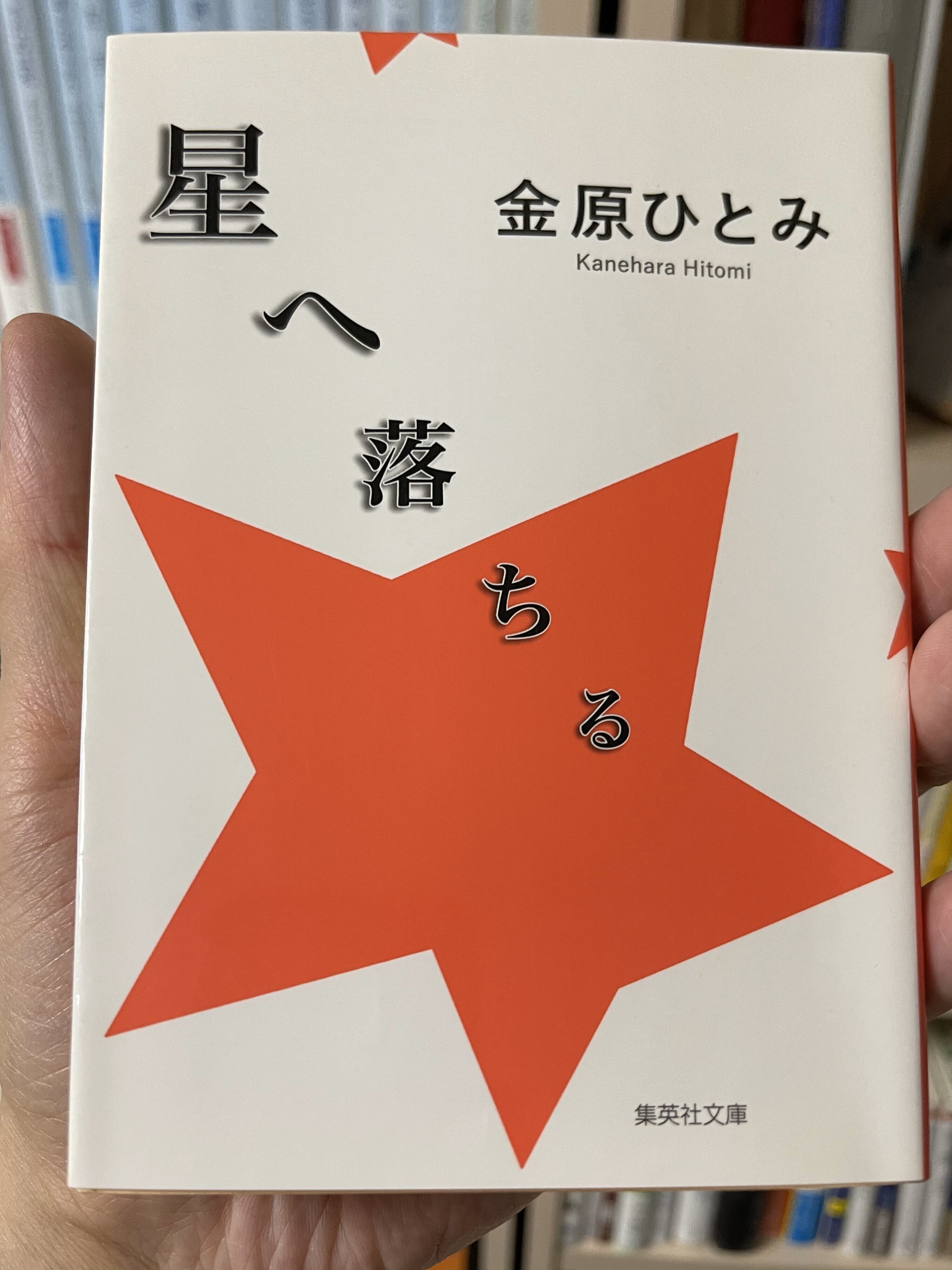 デレラの読書録：金原ひとみ『星へ落ちる』｜接続されたデレラ