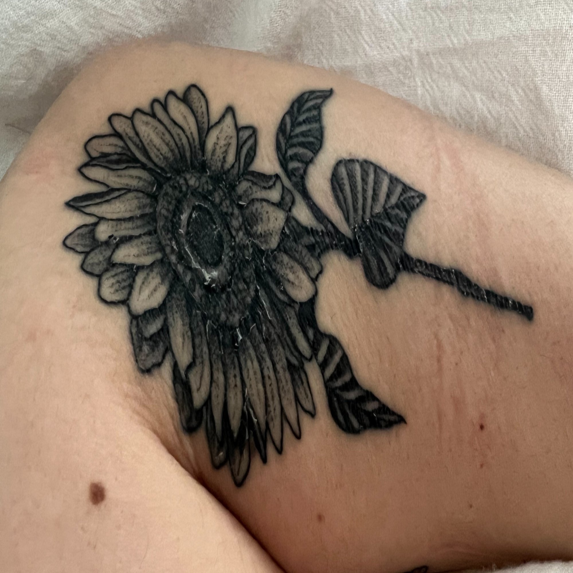 タトゥー入れたので過程と結果と感想と｜ひやややっこ