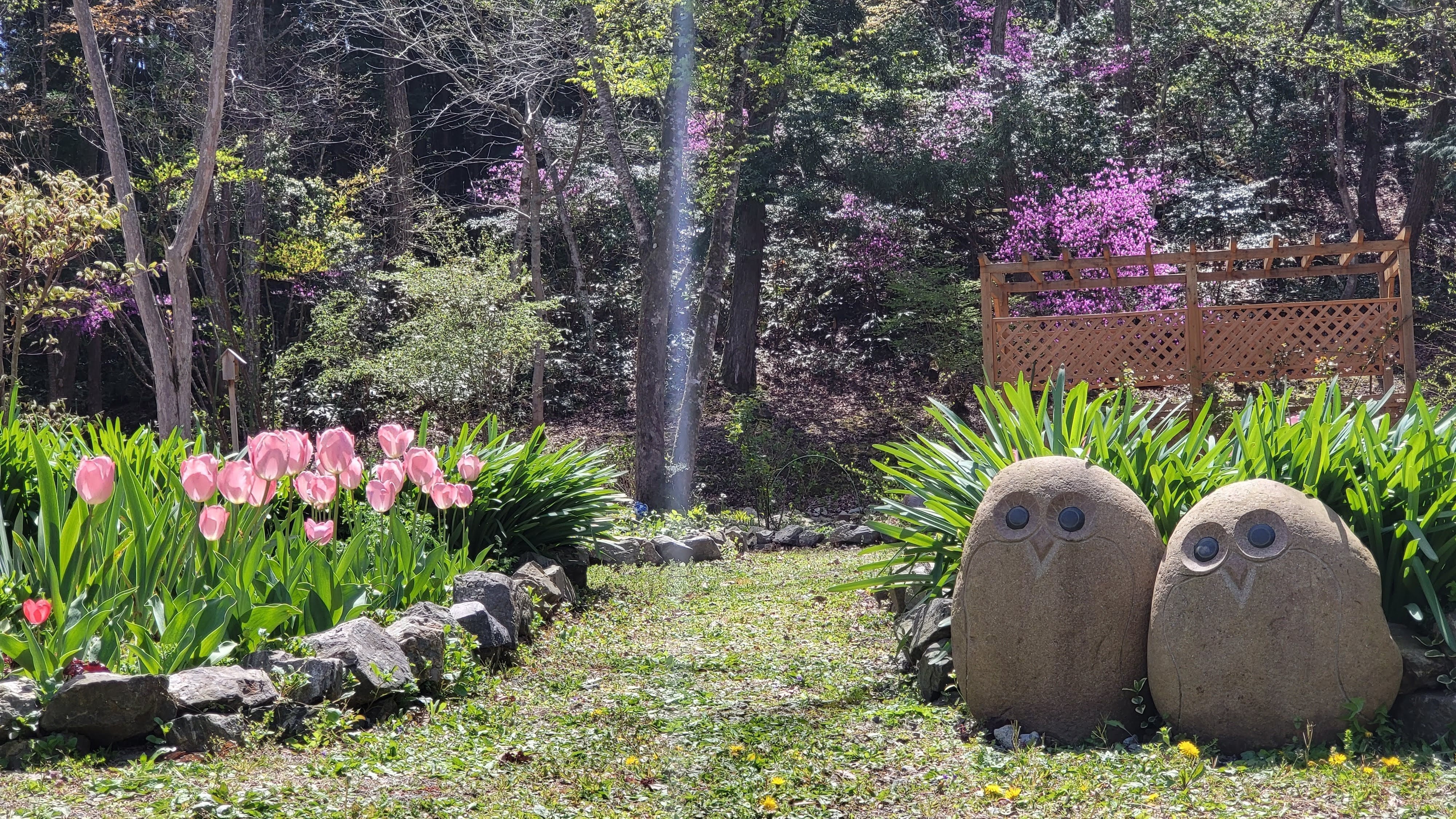 鹿野の風に舞う黄色 里山オープンガーデンかの2023｜ふみぞう