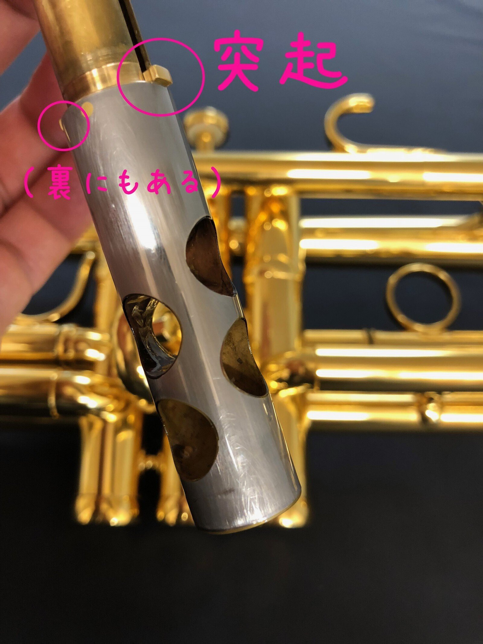 009.毎日のメンテナンス（最初編）｜荻原明（おぎわらあきら