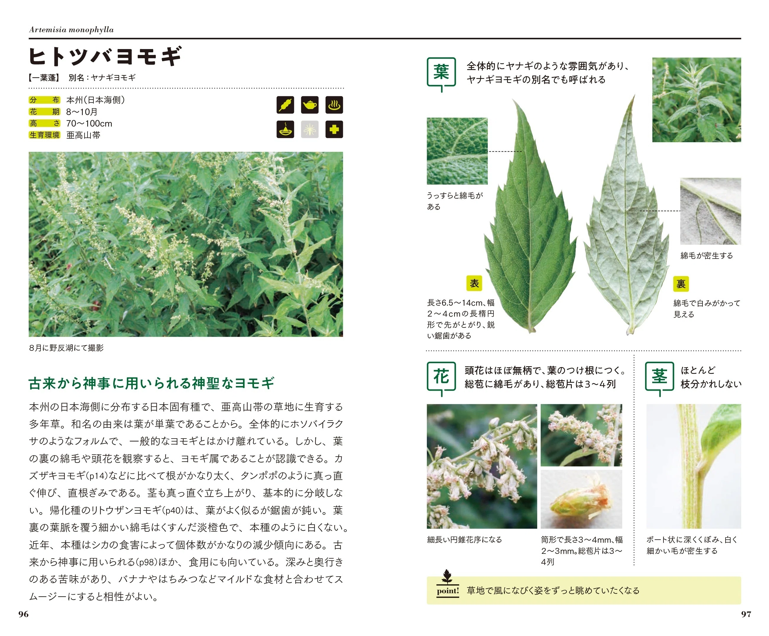 前代未聞！ ヨモギだけの図鑑｜ブンイチ（文一総合出版）