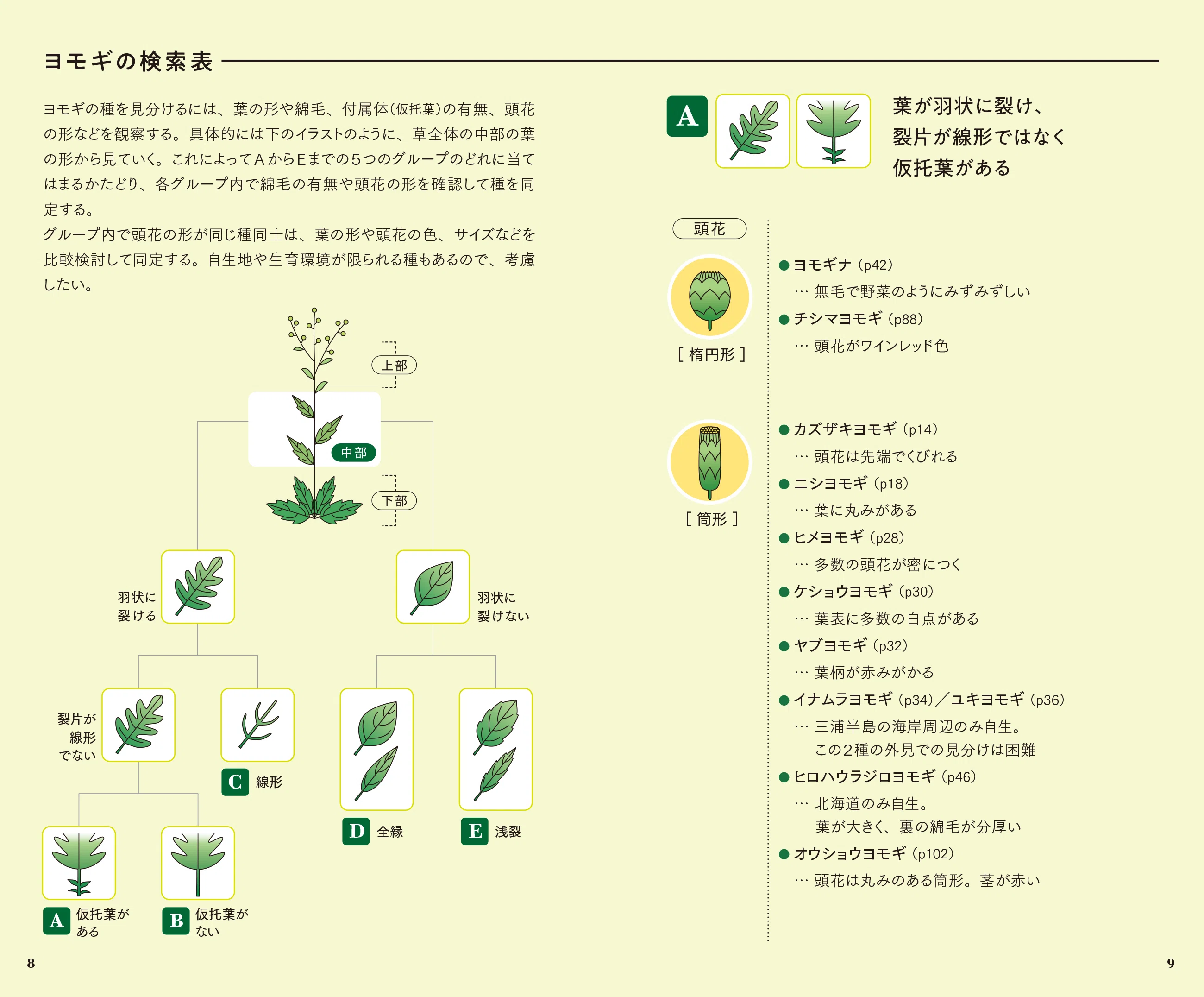 前代未聞！ ヨモギだけの図鑑｜ブンイチ（文一総合出版）