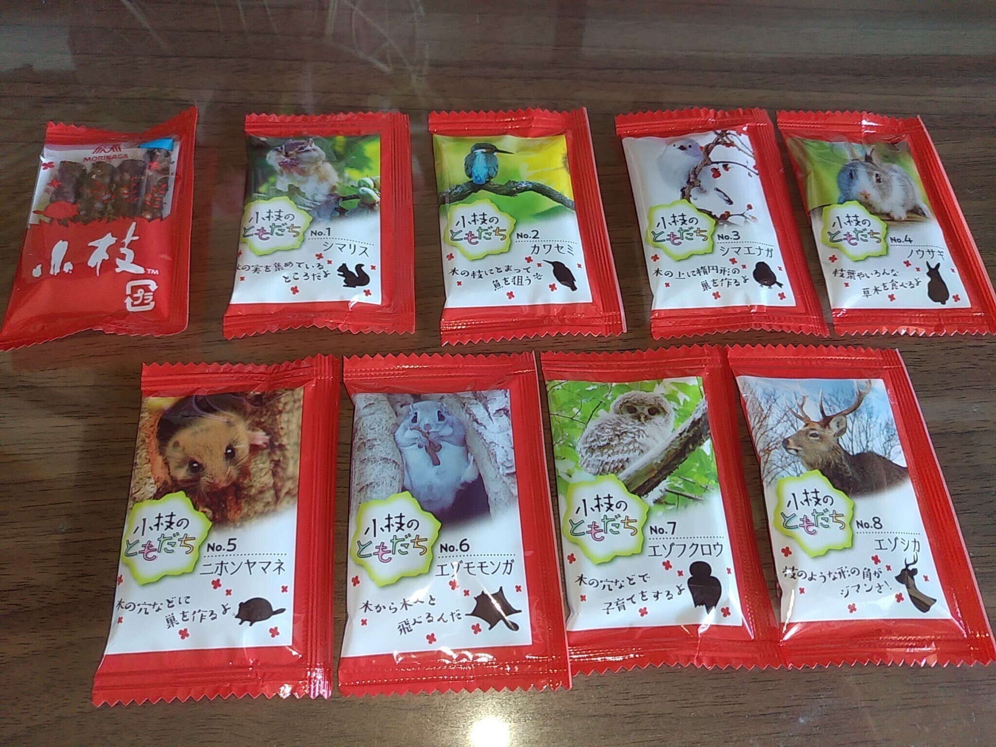 小枝のともだち｜ちる@鳥見の時間