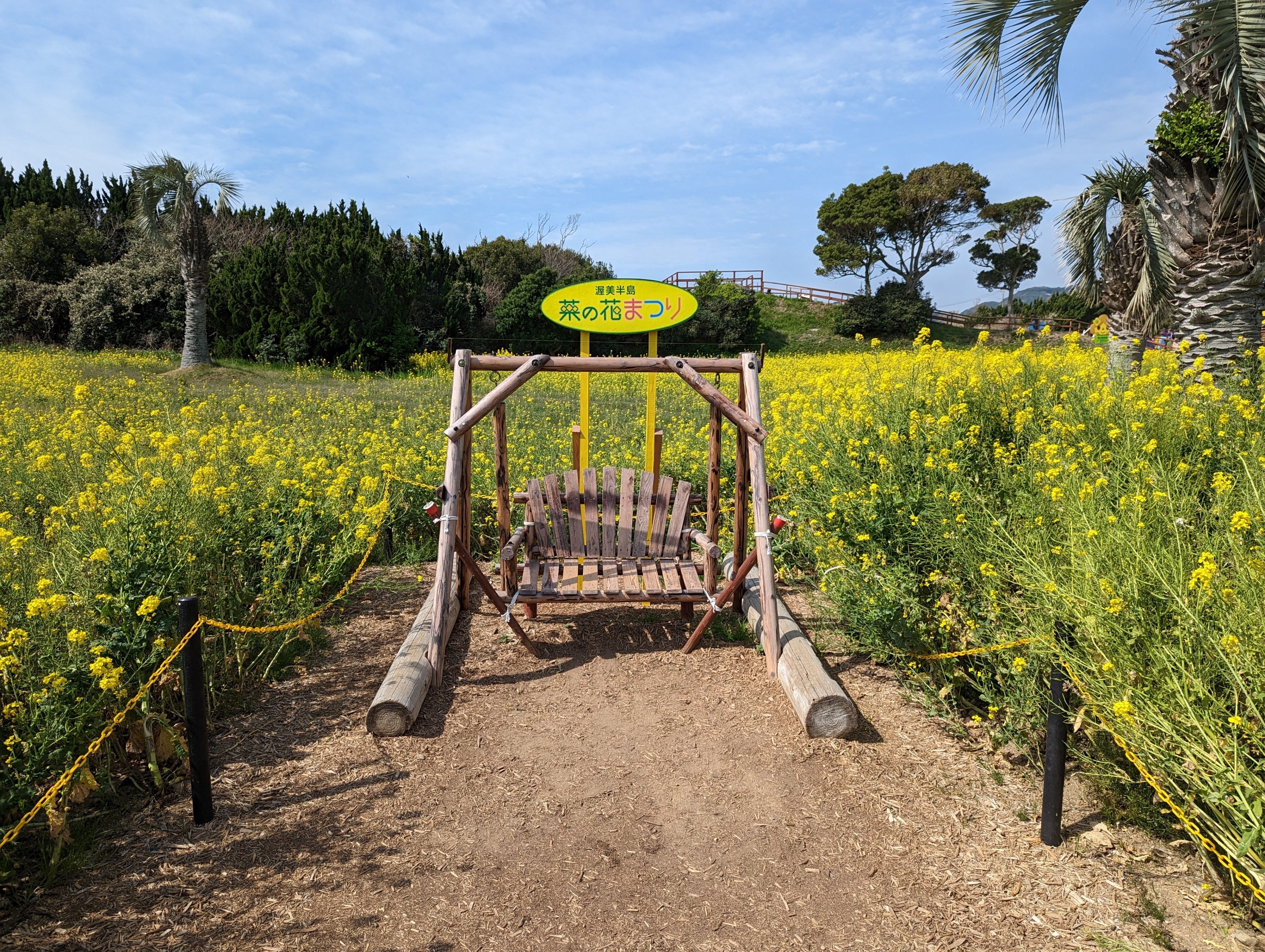 たくさん歩く(菜の花ガーデン)#356｜やん（矢野達也）